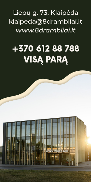 Reprezentacija