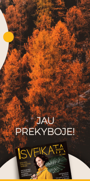 Reprezentacija