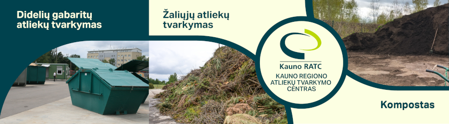 Reprezentacija