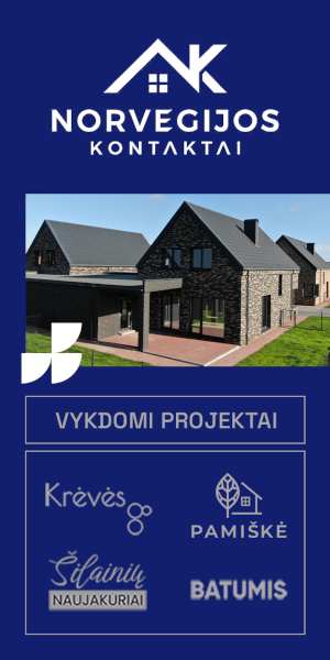 Reprezentacija