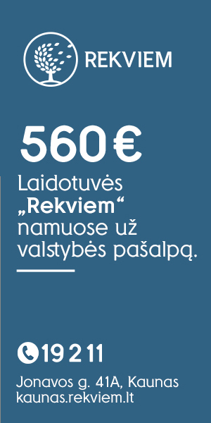 Reprezentacija