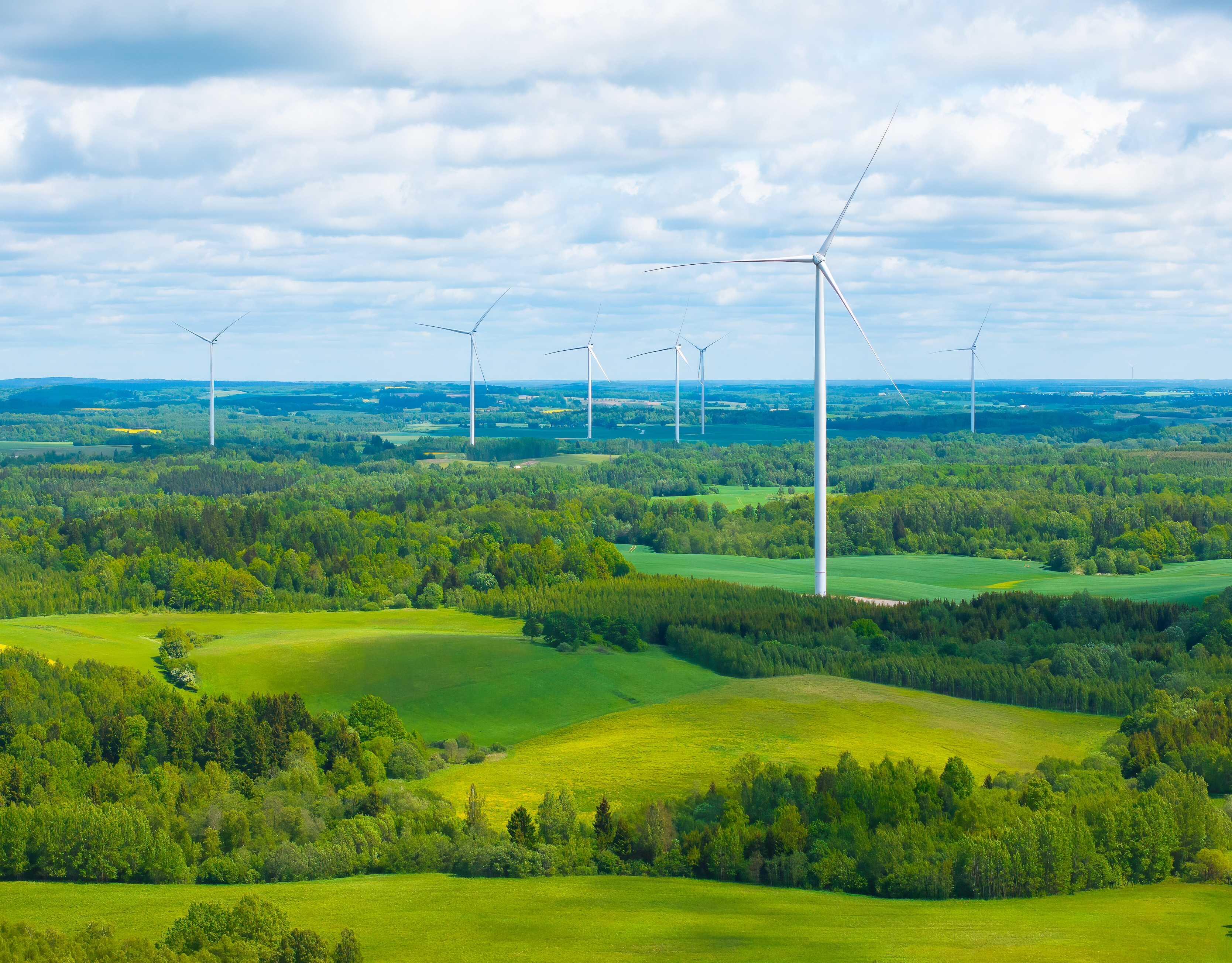 „Ignitis Renewables“ Kelmės vėjo parkas.