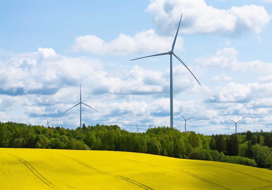 „Ignitis Renewables“ Kelmės vėjo parkas.