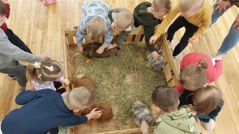 Pažintis: Gretos rengiamos triušiukų edukacijos dažnam vaikui būna pirmoji pažintis su šiais žaviais švelniakailiais.