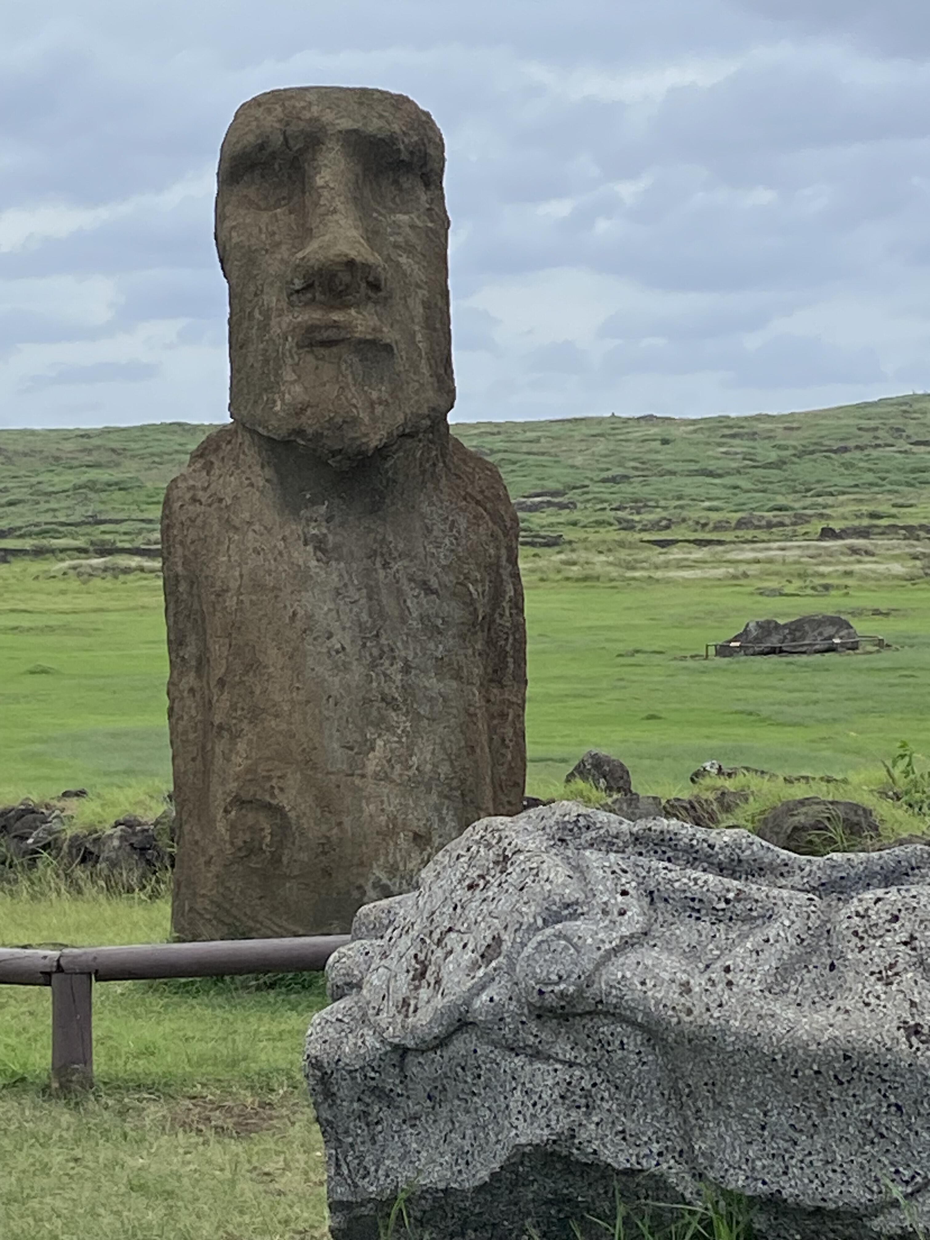 Gastrolės: vienintelis moai, kuris buvo išvykęs svetur ir vėliau sugrįžo namo, kurį laiką viešėjo Japonijoje – taip buvo išreikšta padėka šiai šaliai už reikšmingą finansinę paramą atkuriant Ahu Tongariki.