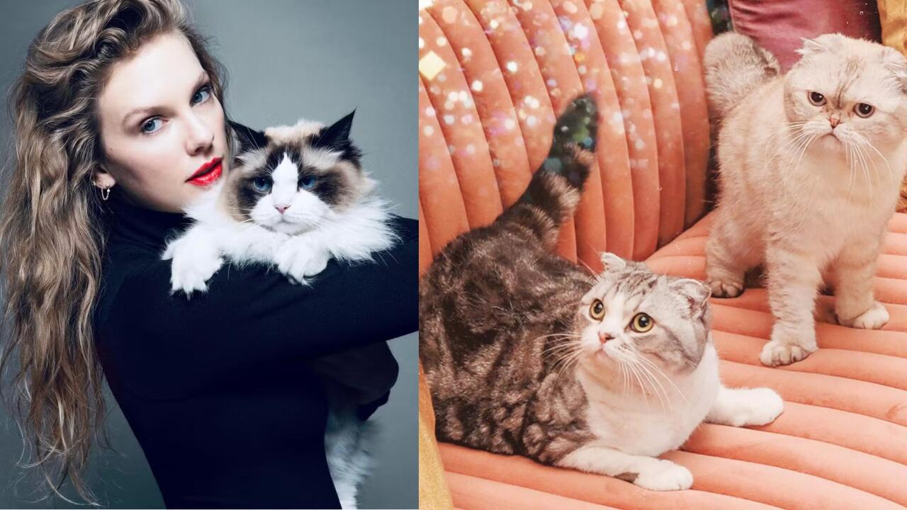 Fantazija: T. Swift savo katėms sugalvojo itin išradingus vardus, o įkvėpimo sėmėsi TV serialuose.