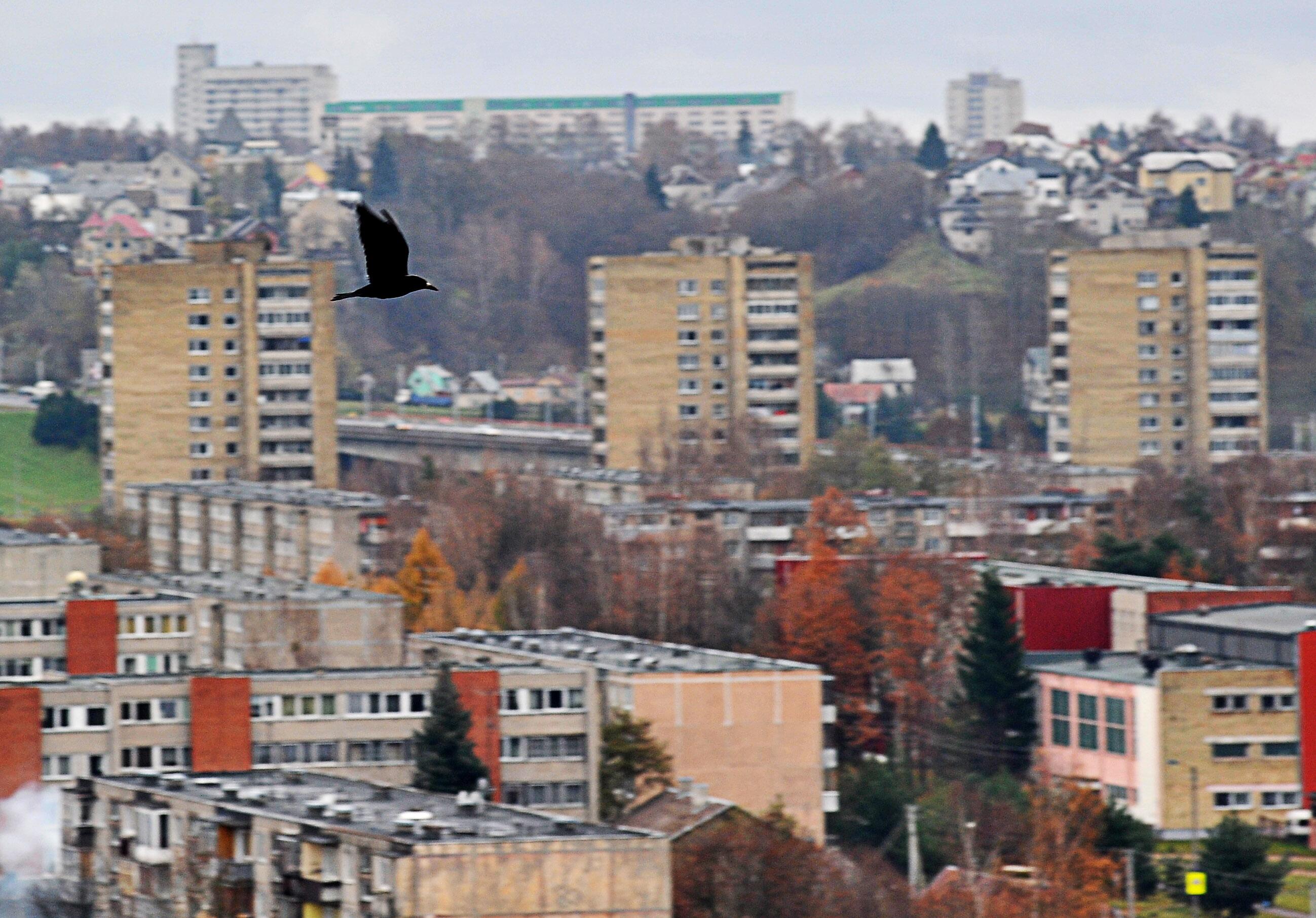 Faktas: „Centina Servis Kaunas“ yra susijusi su praeityje už sukčiavimą teistu, Kaune ir Kauno rajone finansinėmis aferomis pagarsėjusiu R. Babiansku.