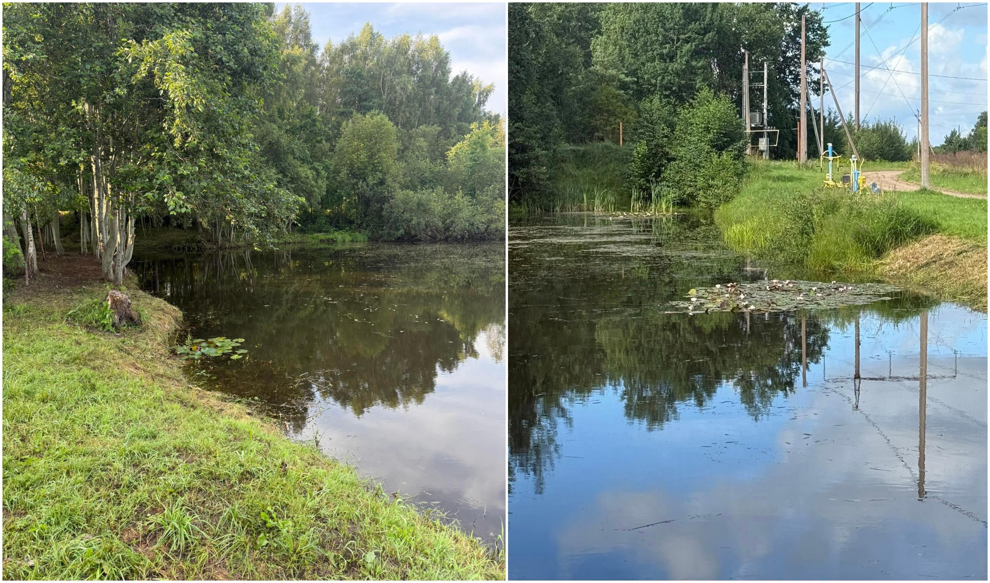 Talka: trys sodininkų šeimos tvenkinio pakrantę baigia paversti poilsio zona – čia jau atsirado sūpynės, iškirstos šakos, restauruota čia buvusi valtis.