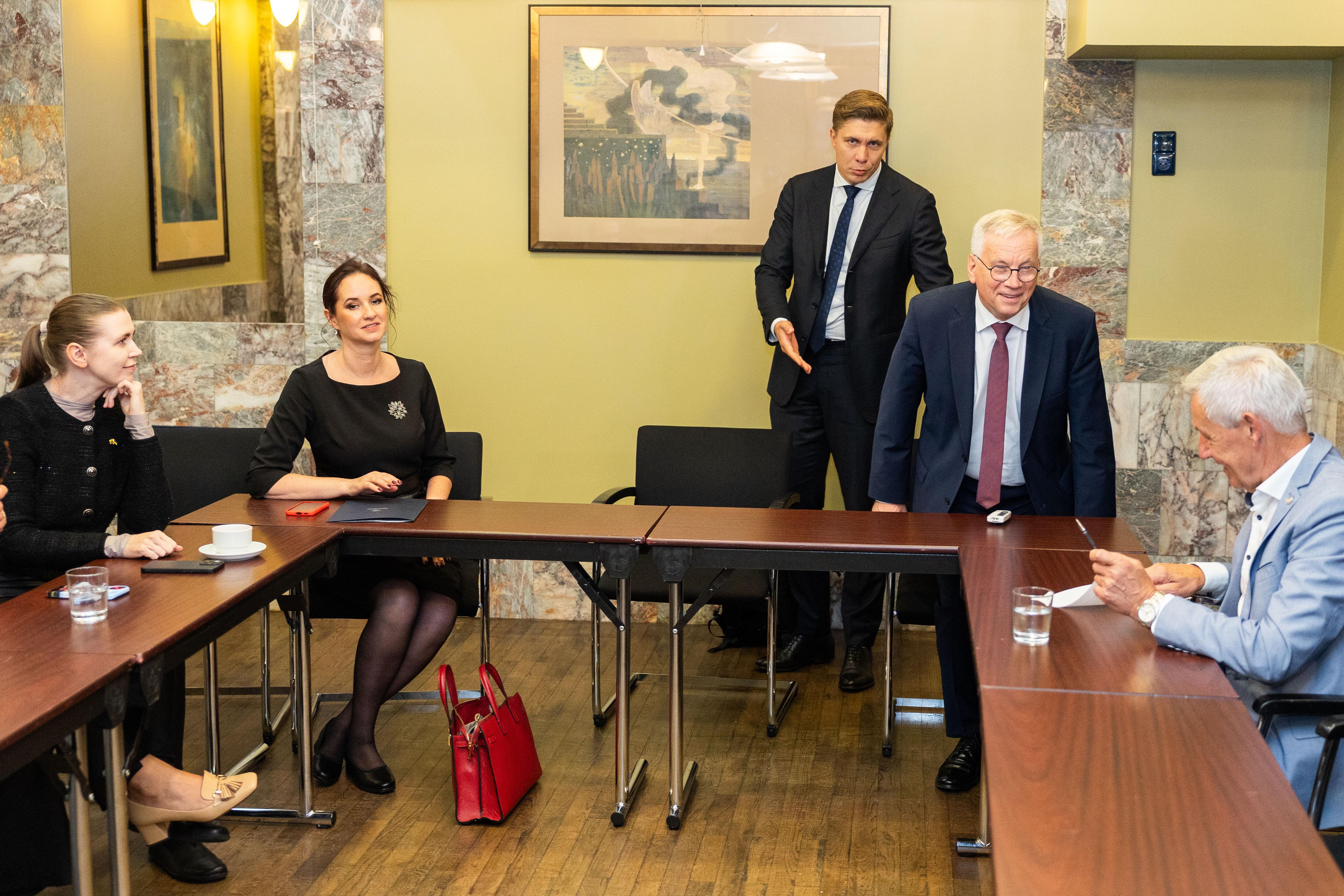 Motyvai: dabar reitinguose – I. Ruginienės žvaigždės etapas. Matyt, LSDP parenkant kandidatą į premjerus svarbus buvo argumentas, kad tai yra tai, ko dabar reikia partijai.