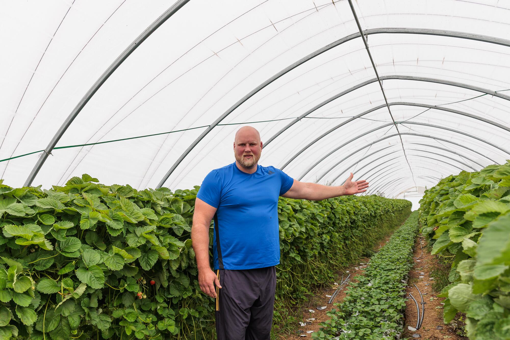 Užmojai: savo ūkyje A. Gudžius planuoja gerokai išplėsti šiltnamių plotus. 