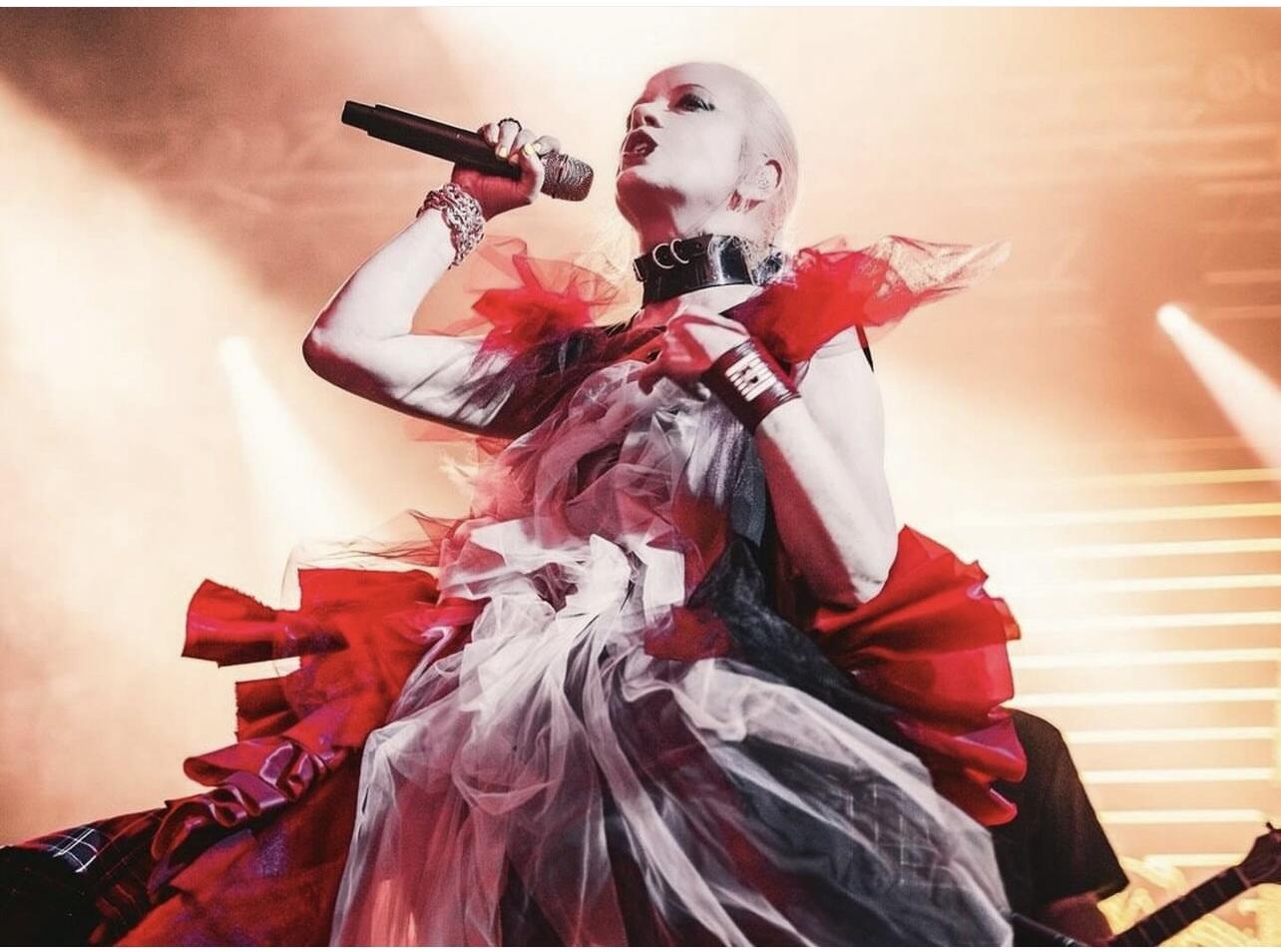 Stilius: škotų dainininkė Shirley Manson iš roko grupės „Garbage“ scenoje mėgsta vilkėti D. Paukštytės kurtais drabužiais.