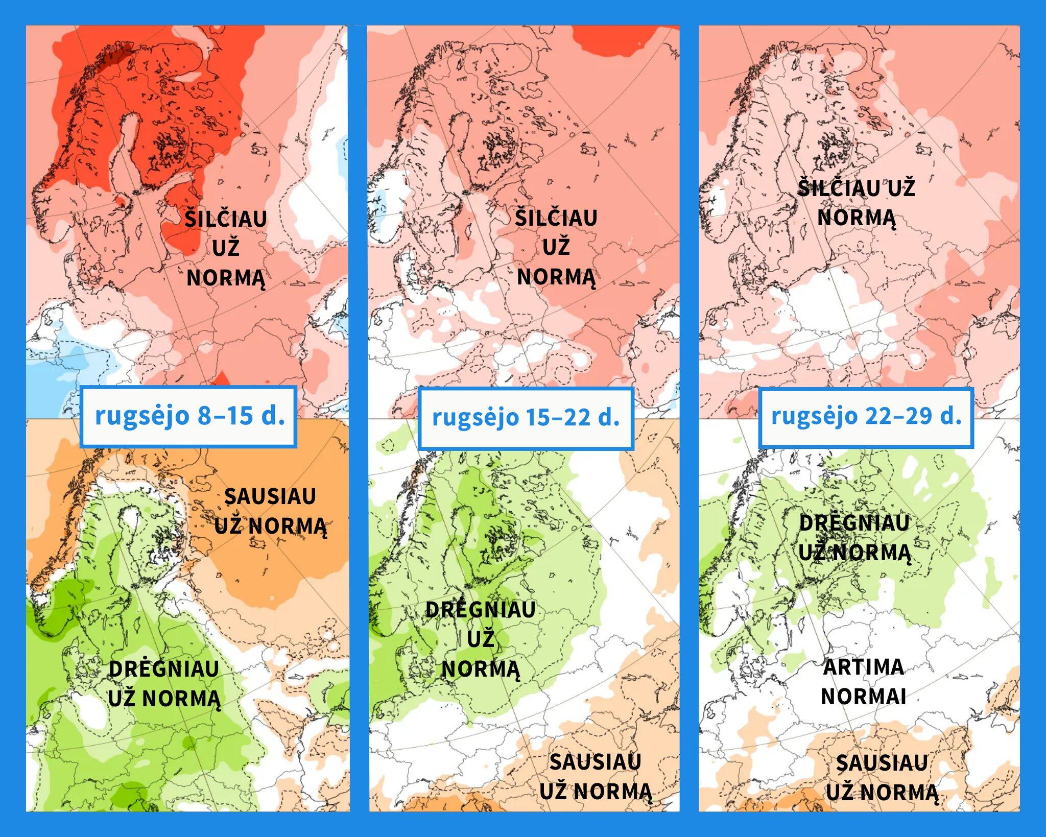 Žemėlapiuose: ECMWF modelio oro temperatūros (viršuje) ir kritulių kiekio (apačioje) anomalijų prognozės artimiausioms savaitėms.