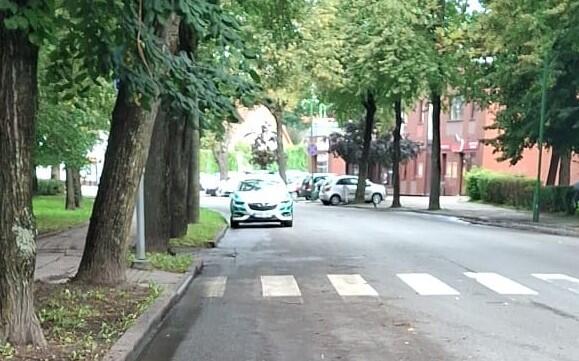 Supratingumas: prie operatyvių gatvės tvarkymo darbų prisidėjo ir pareigūnai, kurie susisiekė su automobilių savininkais, kad šie patrauktų savo mašinas nuo valomos gatvės.