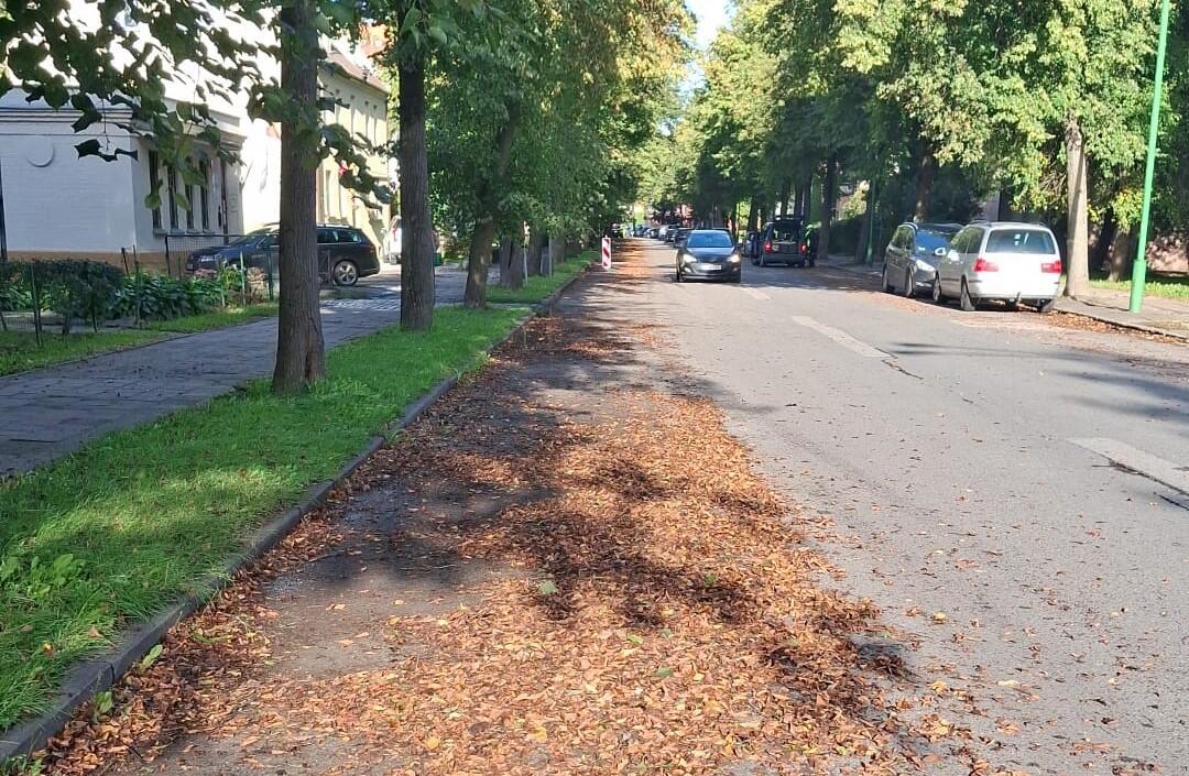 Pokyčiai: prieš valant Tilžės g., joje buvo matyti apsčiai lapų, tačiau po tvarkymo darbų vaizdas pasikeitė – dabar gatvė atrodo tarsi iščiustyta.
