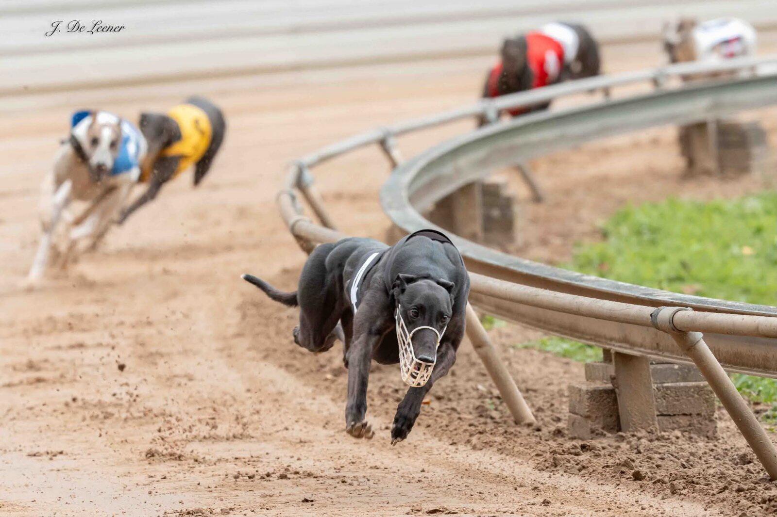 Startas: šių metų vasara – Stelos debiutas, ji dar tik pradeda karjerą. 