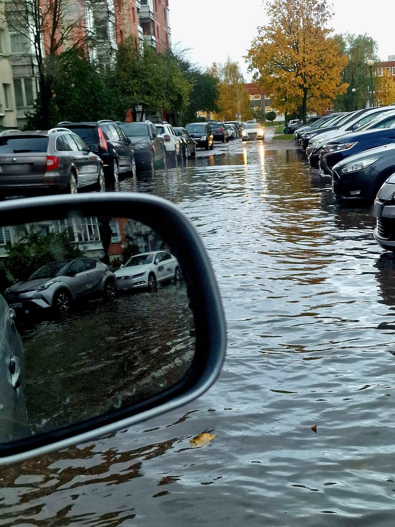 Liūtis Klaipėdoje