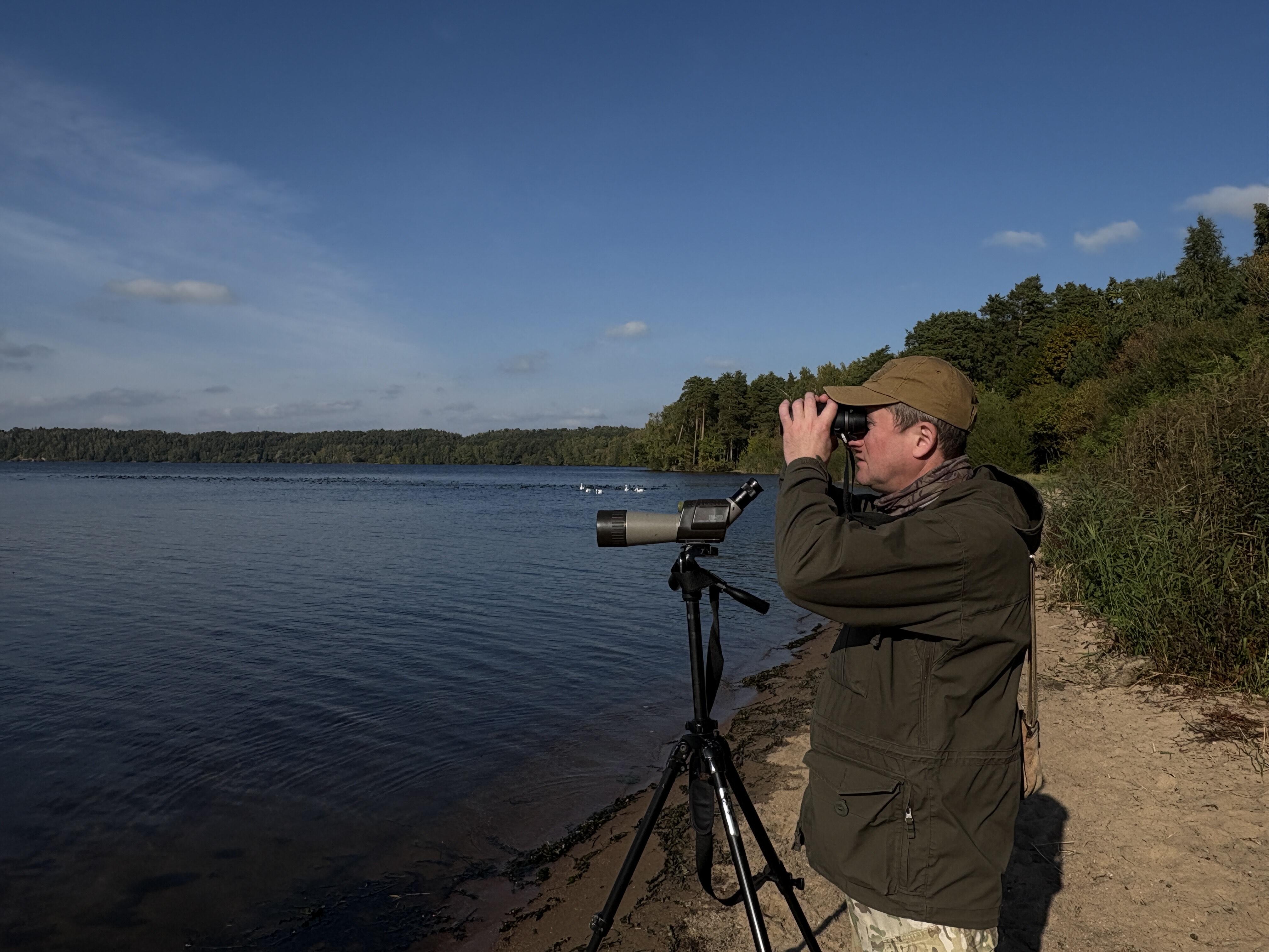 Procesas: prie Kauno marių vykdoma jūrinių erelių stebėsena.