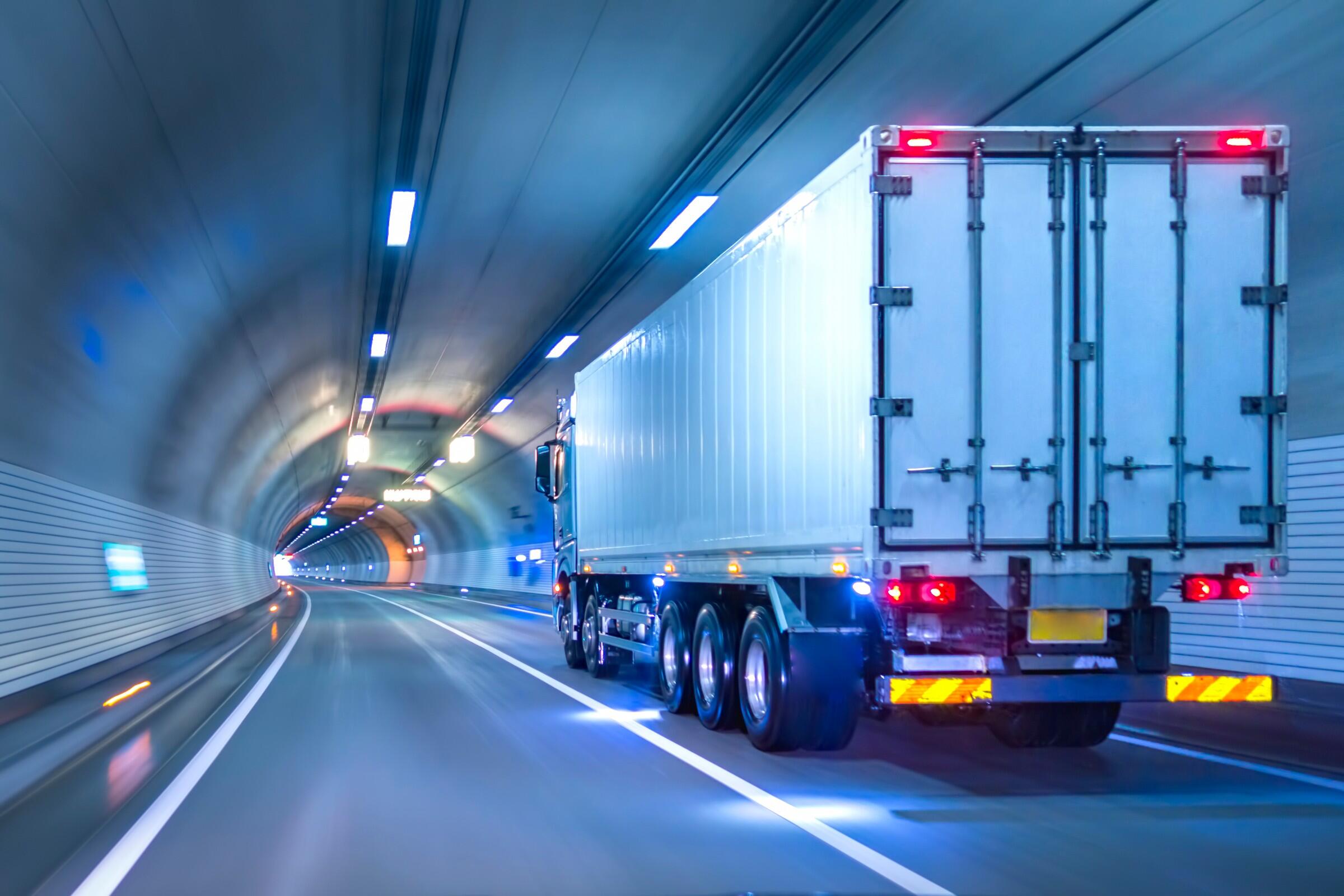 Mažai: mūsų šalyje registruota apie 700 sunkiasvorio N1 klasės elektrinio transporto priemonių.