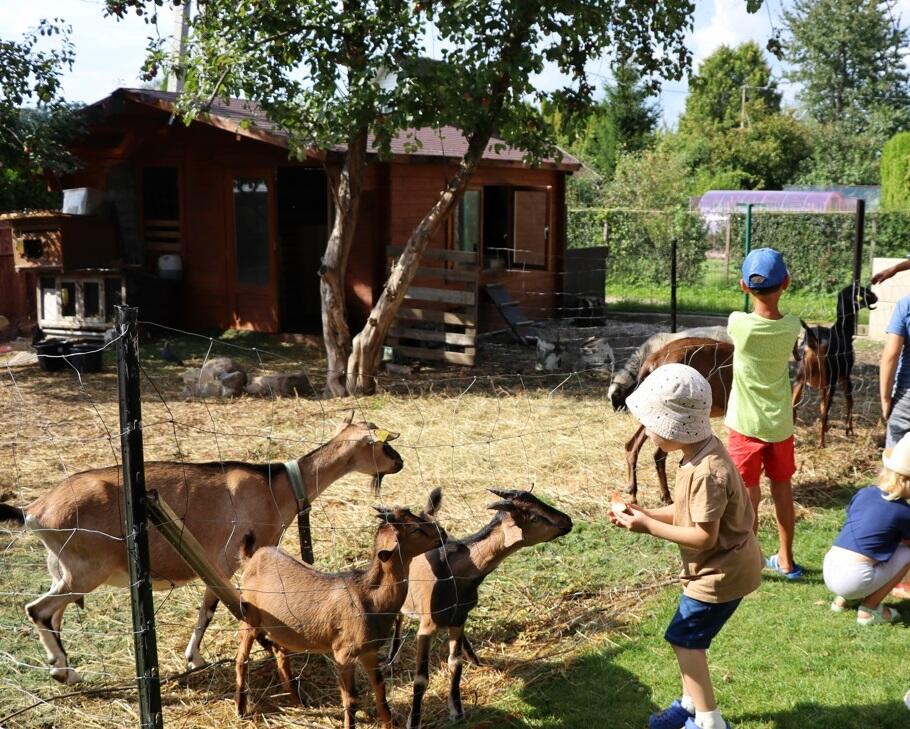 Ūkis: gyvenamojo namo kieme įkurta gyvūnų ferma K. ir A. Charlanovams – ne tik džiaugsmas, bet ir gausybė rūpesčių.