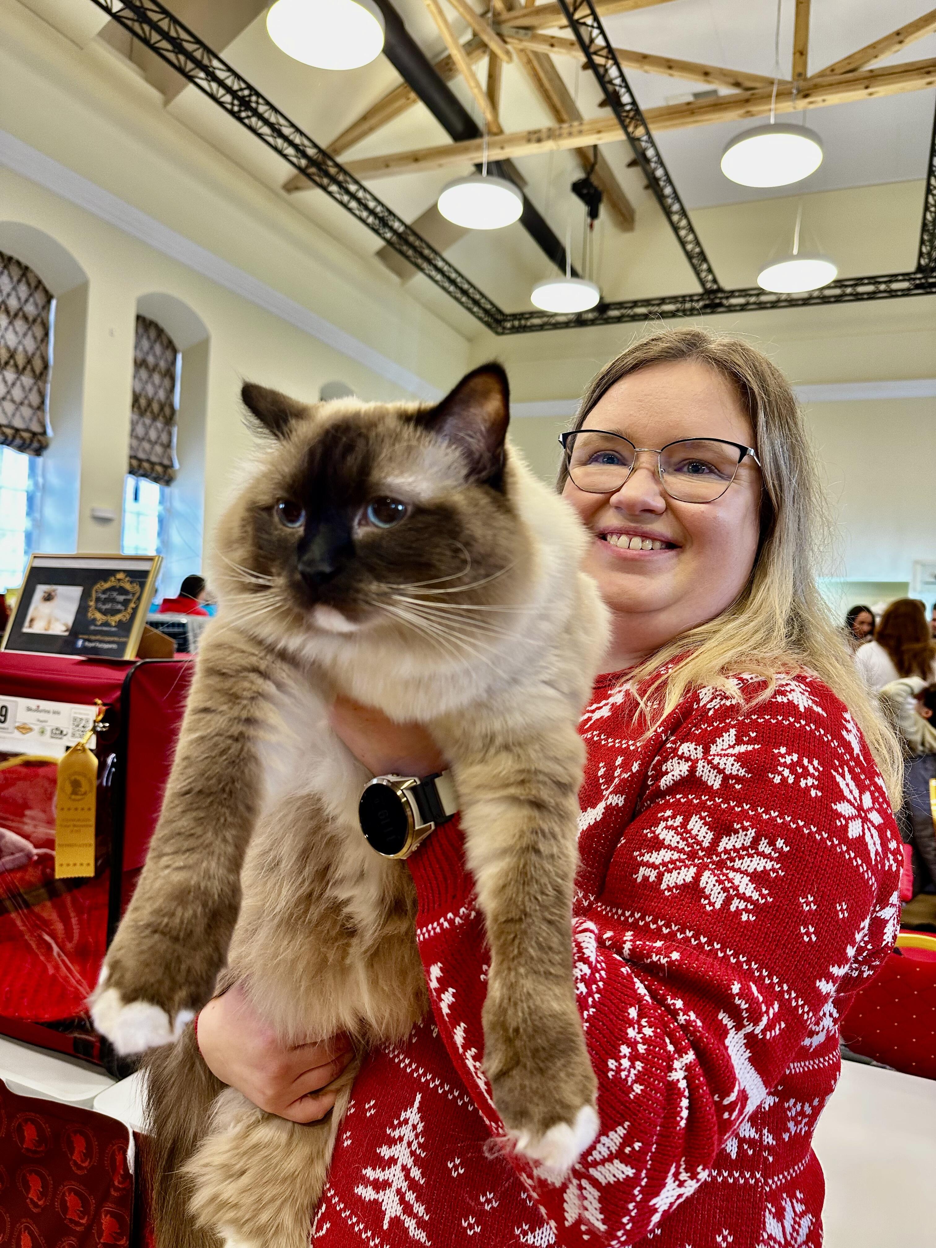 Medžiotojas: ragdolų veislės Kleckas namuose mėgsta pagainioti peles – šeimininkei parneša grobį.