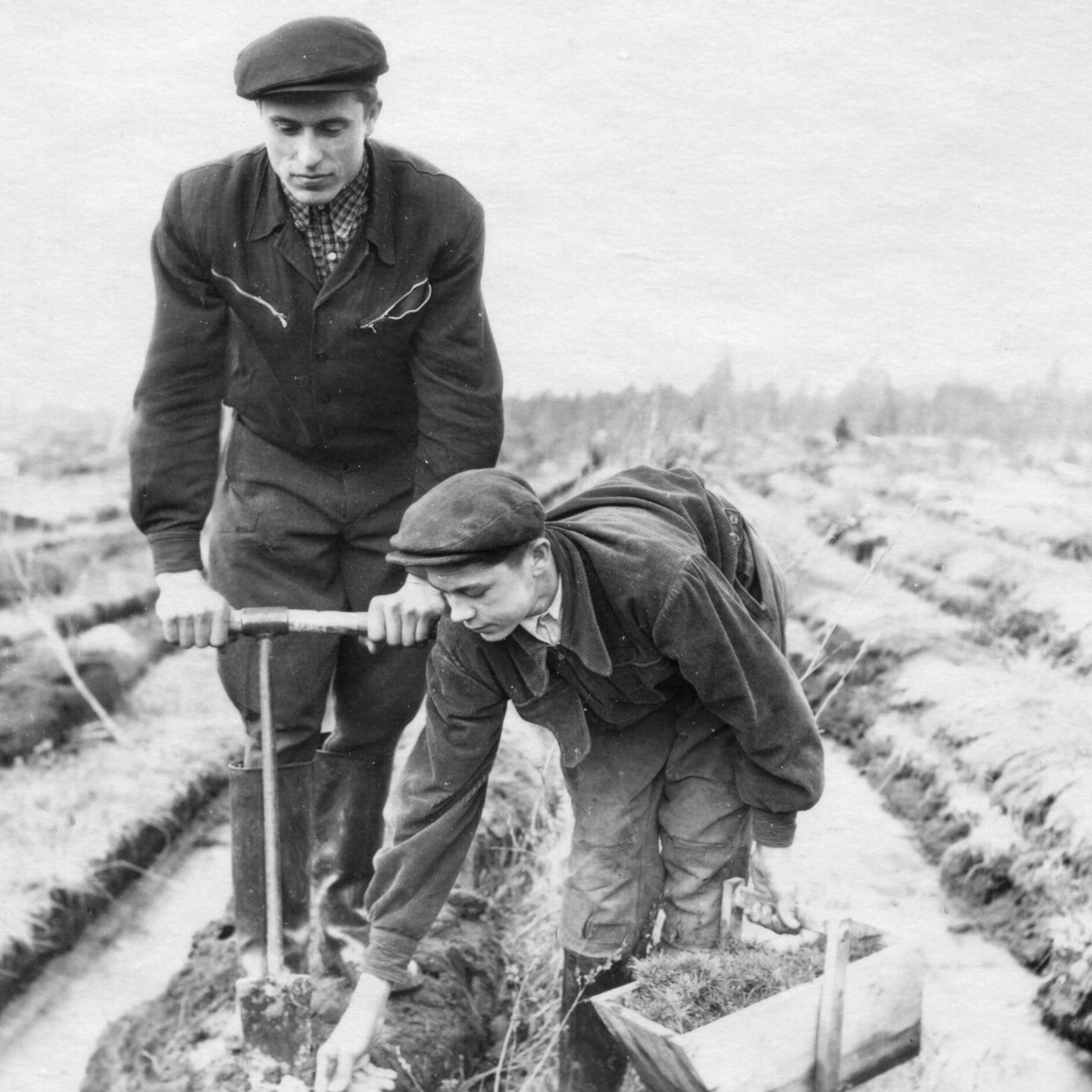 Darbai: U. Užtupienės senelis Antanas Bartašius (Krekenavos girininkijos girininkas) su broliu Stasiu miškasodyje. Apie 1960 m.