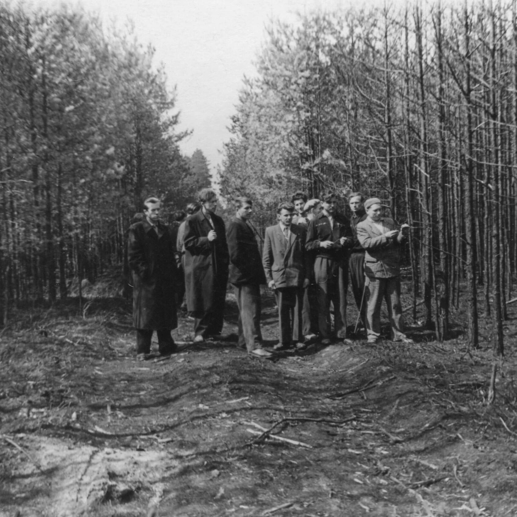 Misija: miškininkams tenka priimti sprendimus, kurių tikrų apčiuopiamų rezultatų pamatys vaikai ar anūkai. 1959 m.