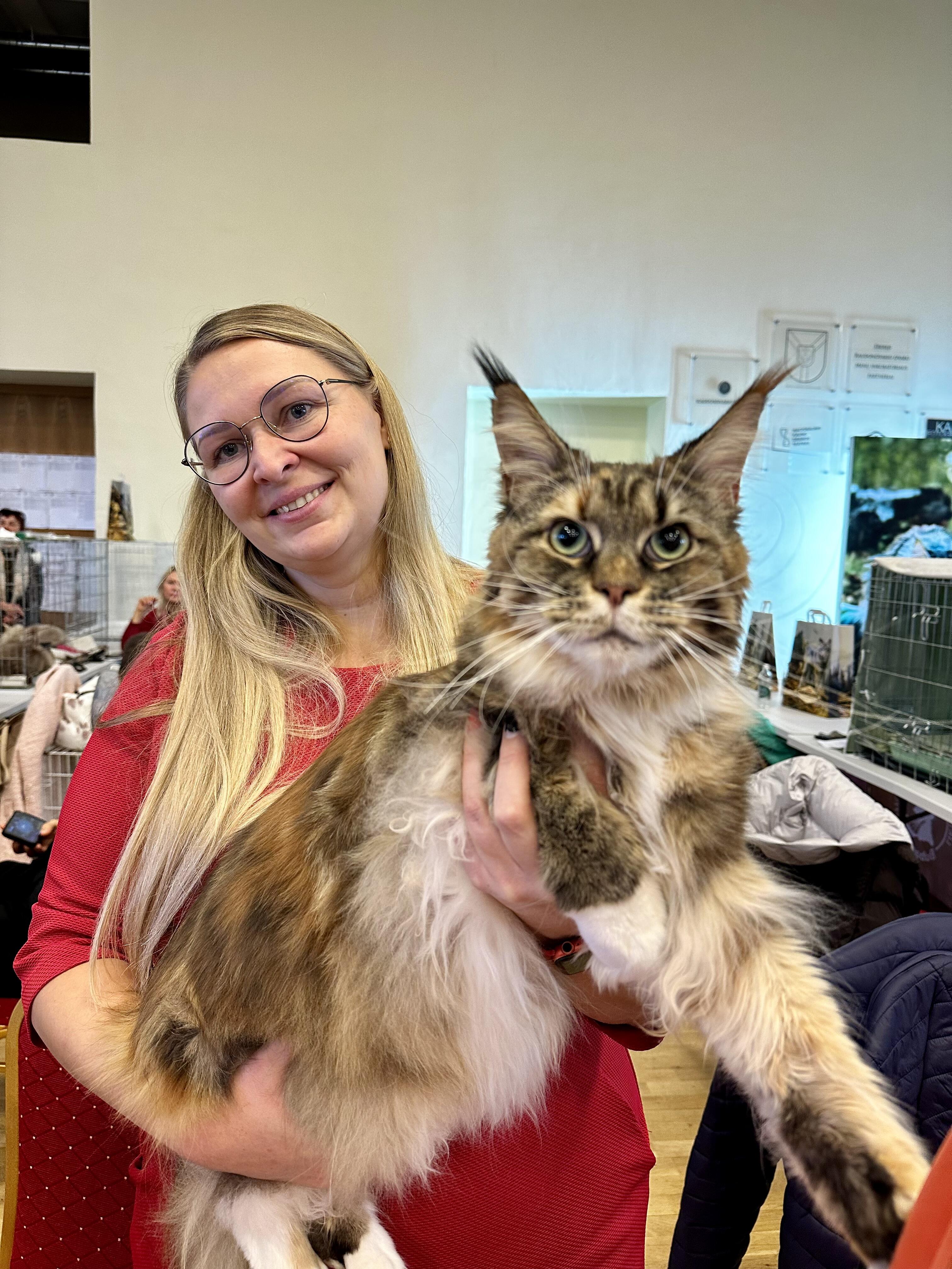 Visuma: Evą labiausiai pakerėjo tai, kad Meino meškėnai turi laukinę išvaizdą, bet labai švelnų ir meilų charakterį.