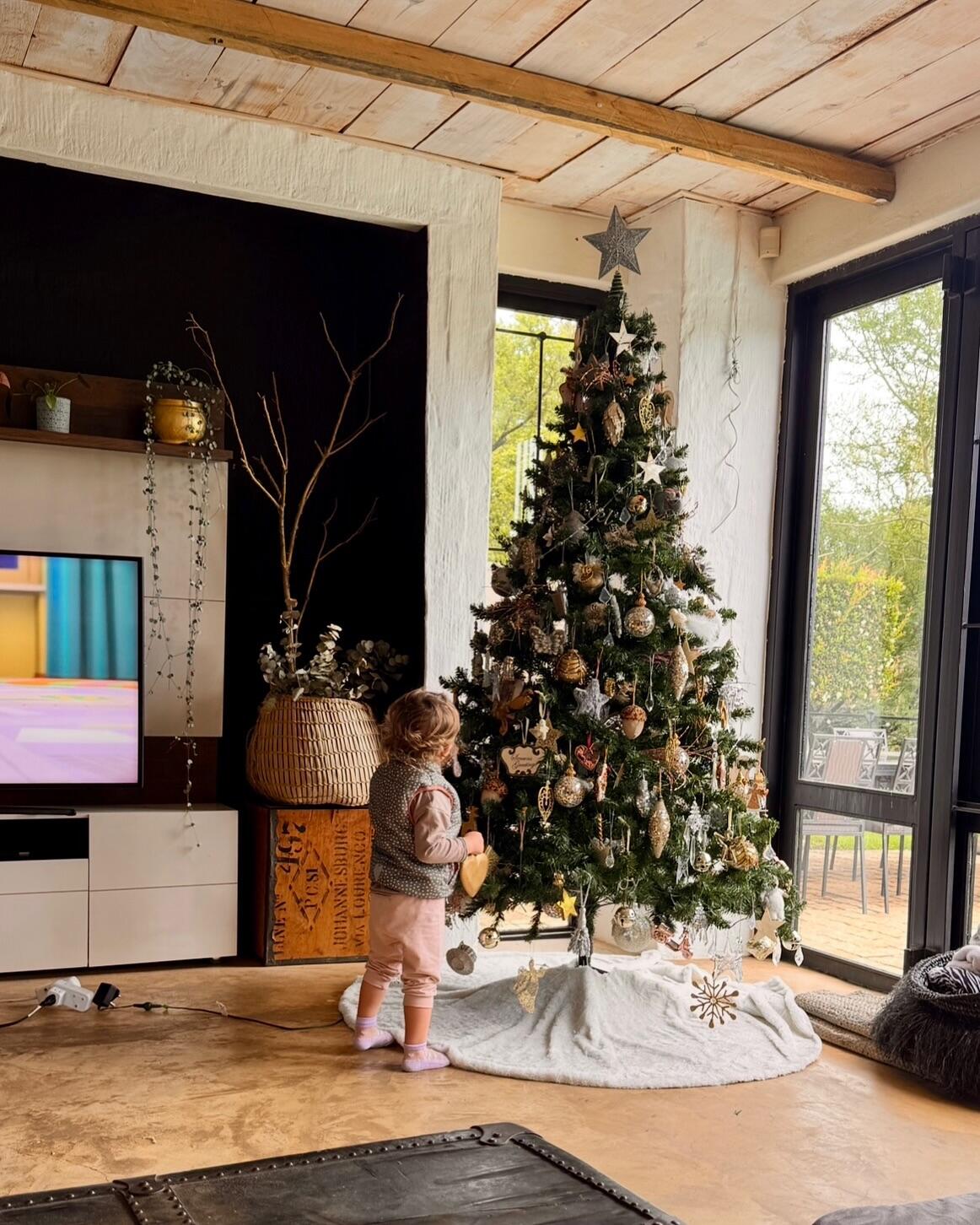 Kitaip: Kalėdos į Bubulių namus Johanesburge ateis ne baltos, o žalios – už lango tikra vasara.