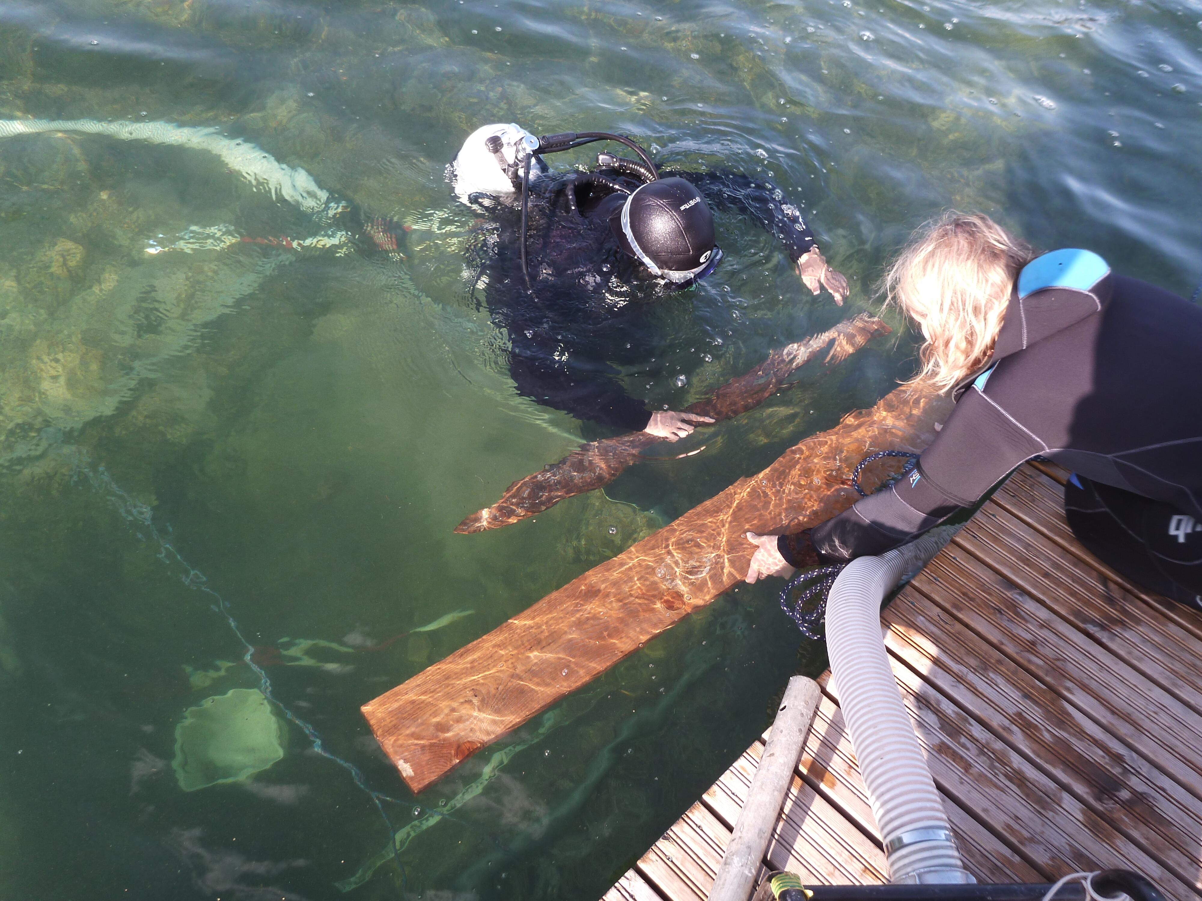 Luokesų gyvenvietės tyrimai