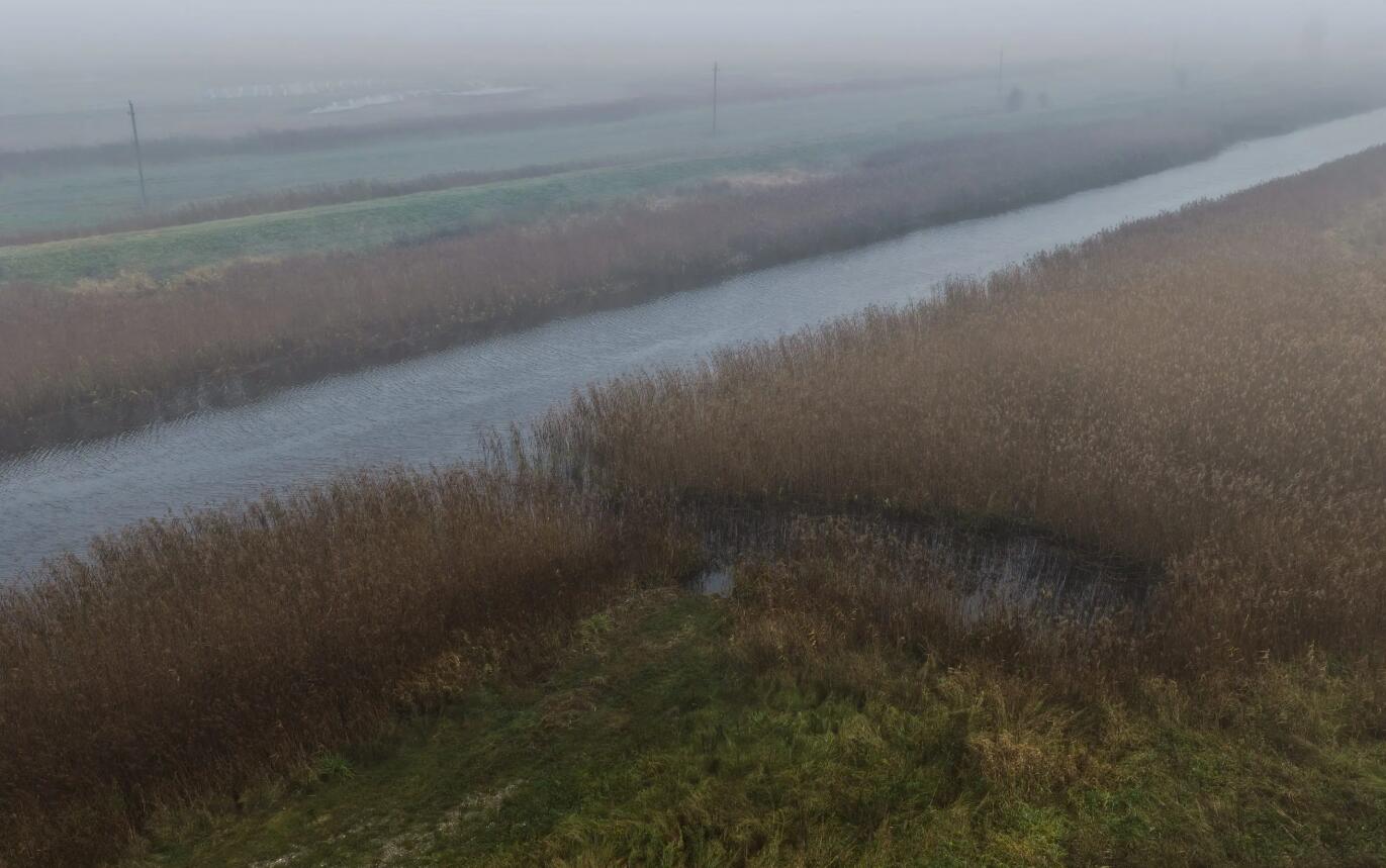 Slipo įrengimo vieta