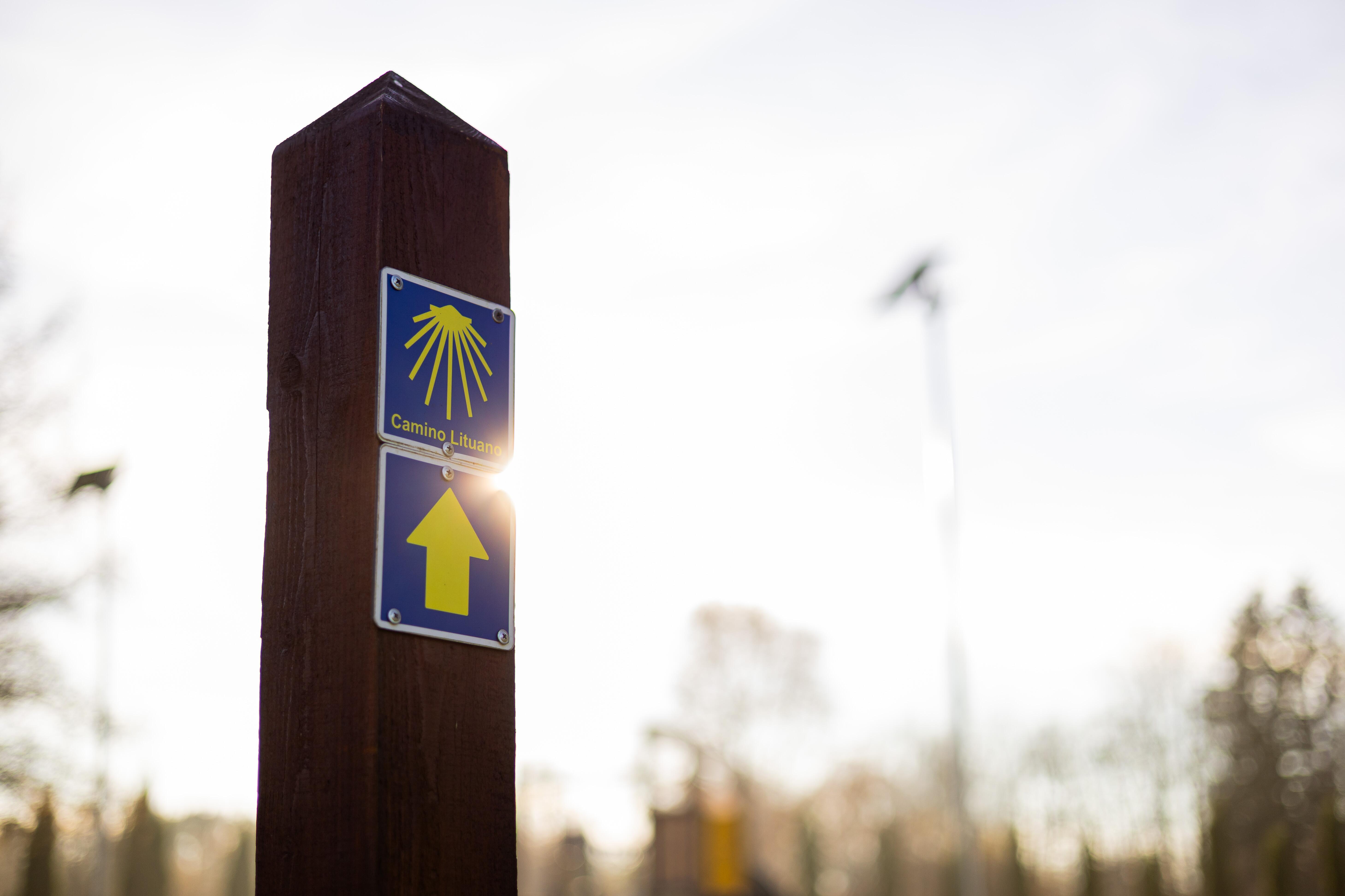 Pikeliuose prasideda ir per Lūšę tęsiasi žemaitiškoji „Camino Lituano“ kelio atšaka.