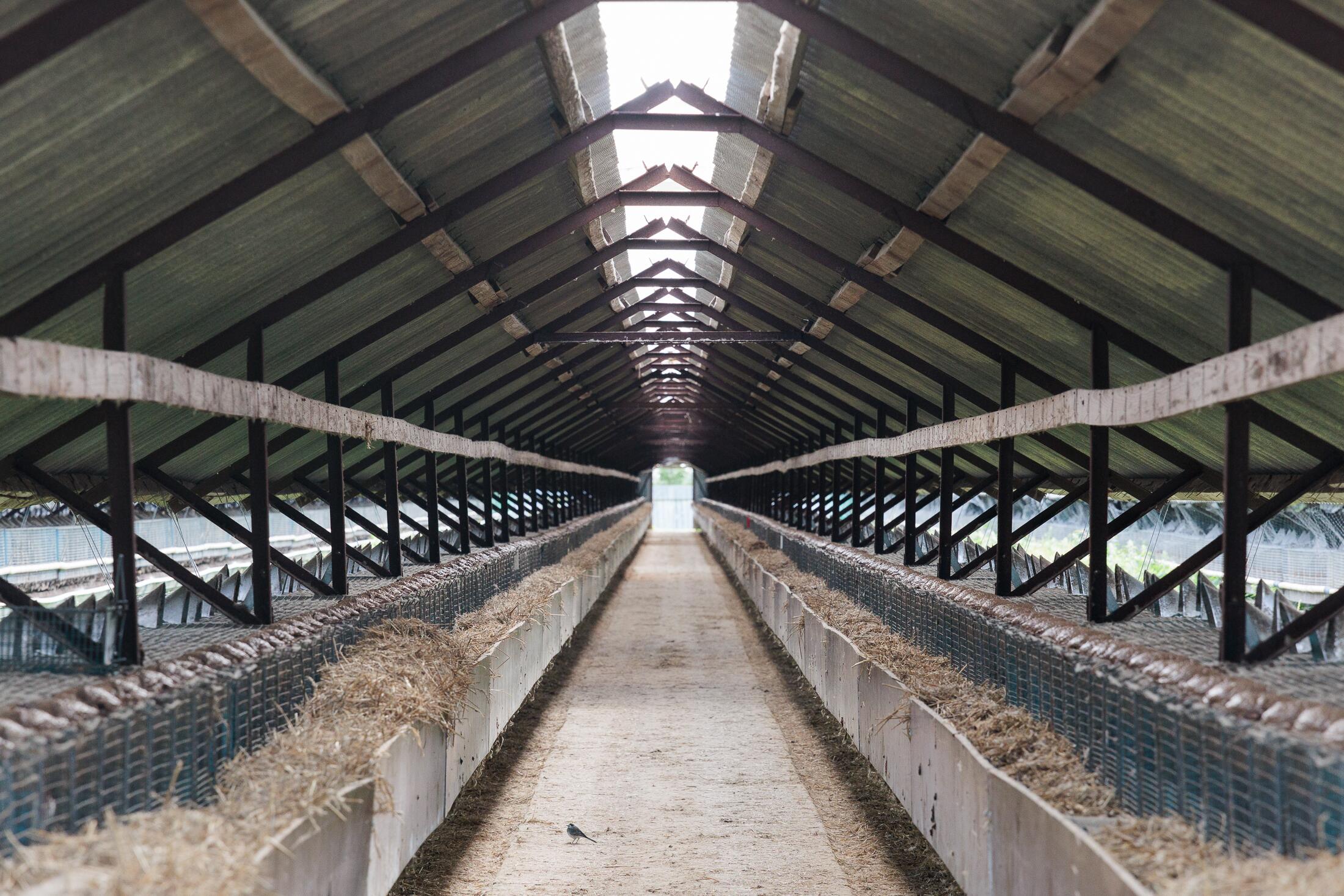 Skirtumas: 2023 m. atliktame vertinime buvo minima, kad bus padaryta daugiau nei 57 mln. eurų žala dėl kailinių žvėrelių ūkių draudimo, bet Seimui pateikta, kad kompensacijoms prireiks vos 1 mln. eurų.