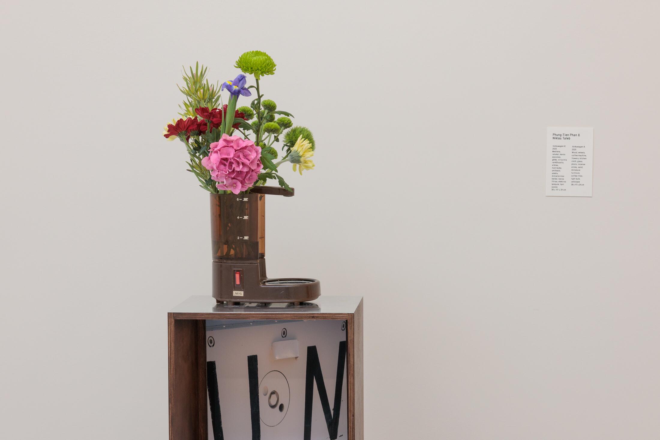 Phung-Tien Phan. Volks­wa­gen 8.