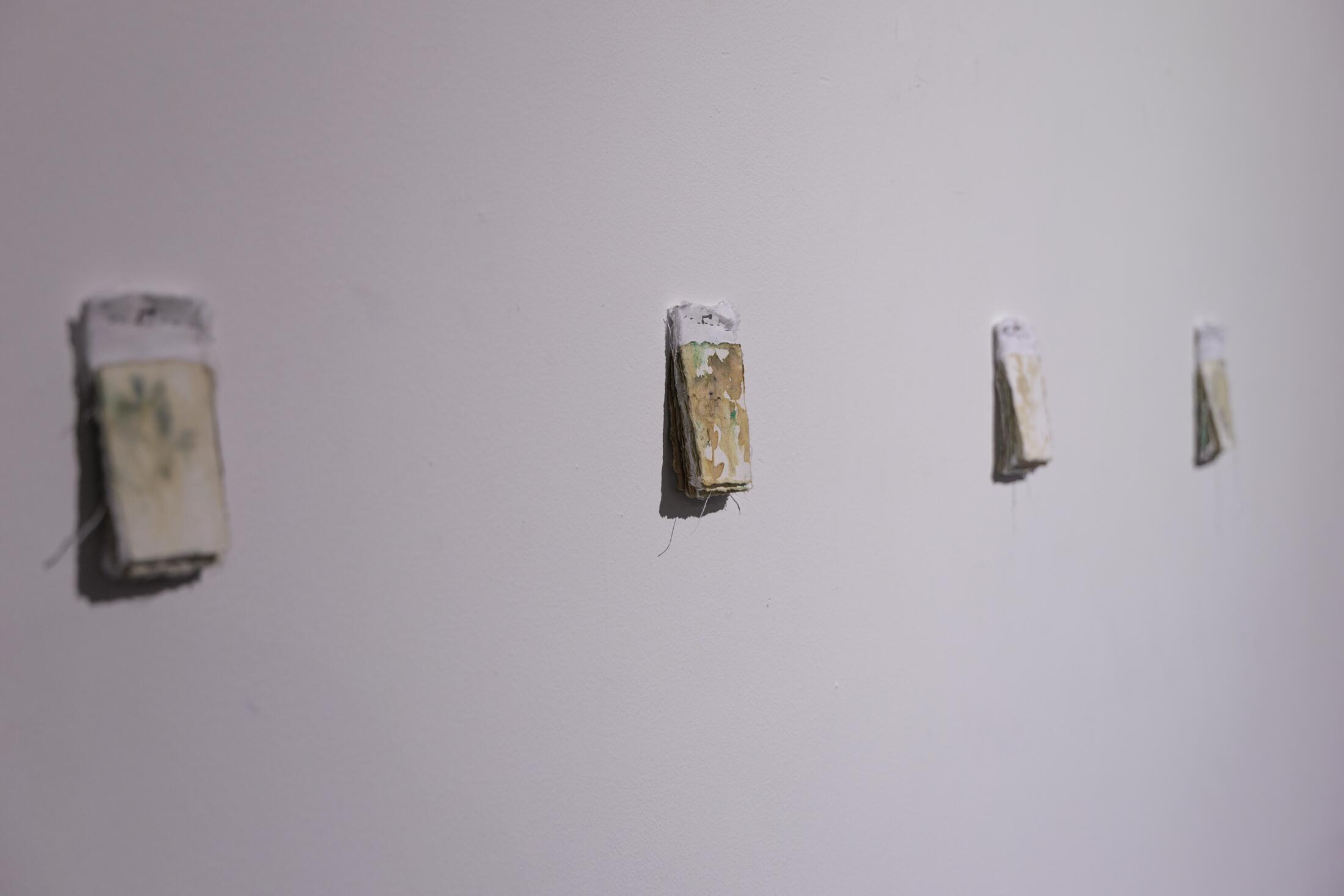 Lilija Gotautaitė-Smalinskė. Šilavoto dienoraštis: momentai.