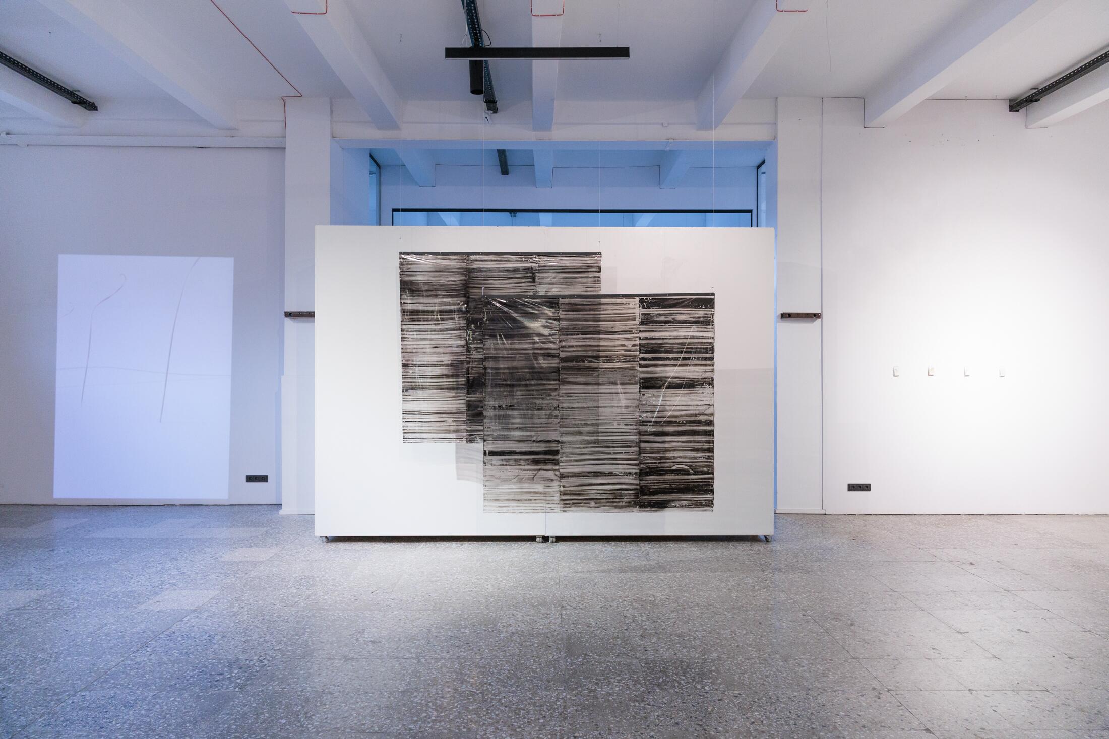 Ligija Žilinskienė. Horizontas tarp lentynų.