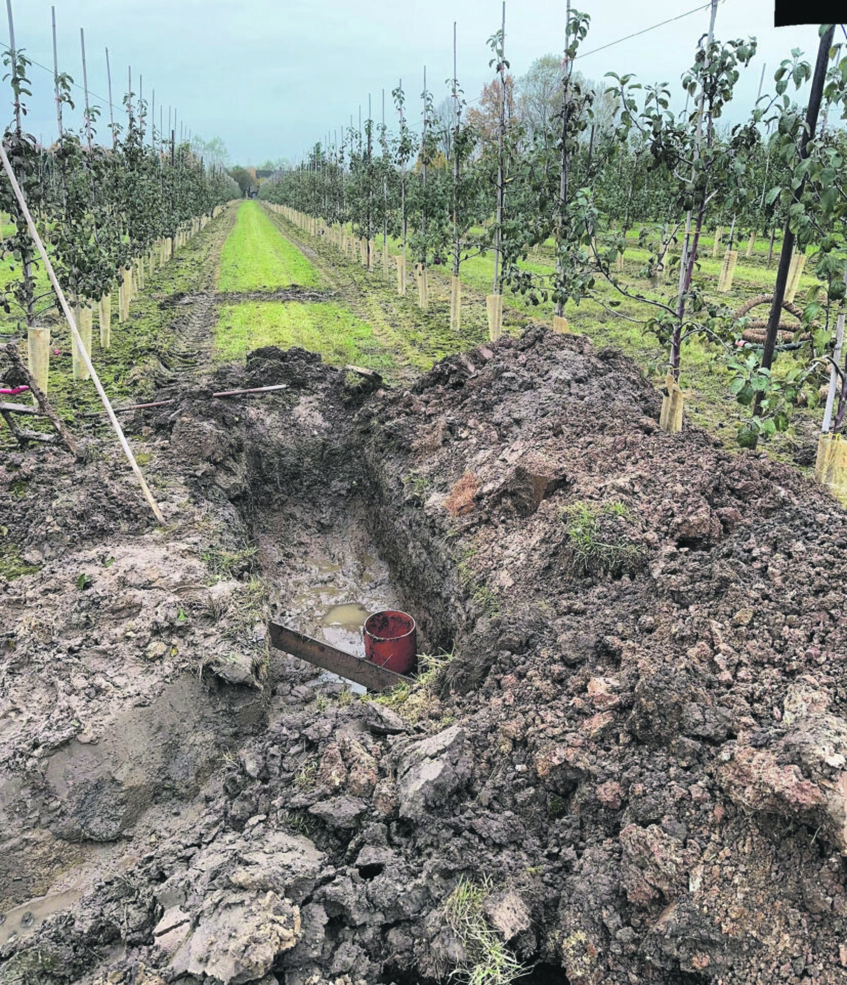 Darbymetis: spalio pabaigoje ir lapkričio pradžioje Aukštikalnių soduose teko kasti griovius, kad nubėgtų vanduo.