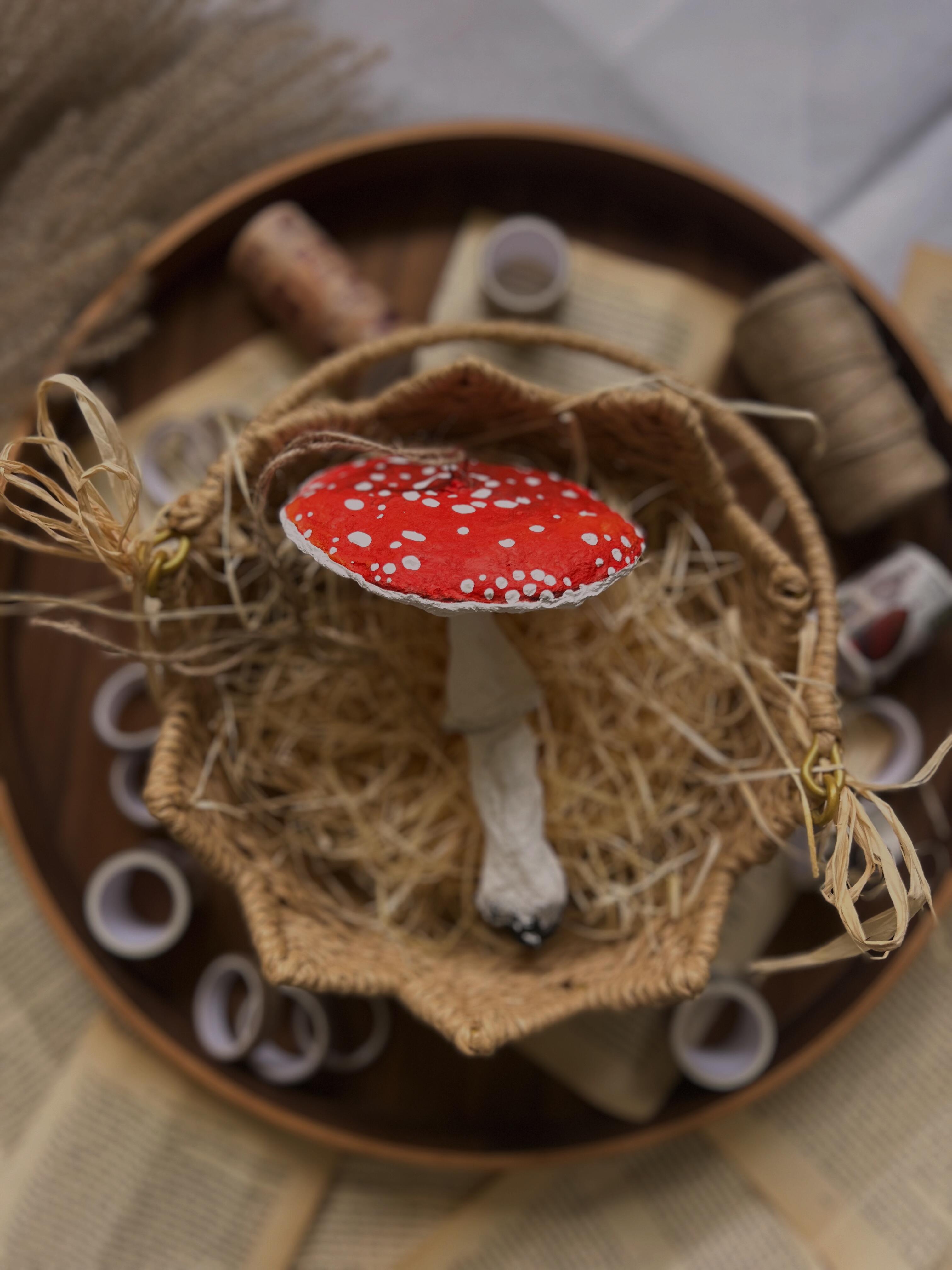 Ypatingi: visi grybai Evelinai turi stebuklingo žavesio, tačiau mėgstamiausias jos žaisliukas – musmirė.