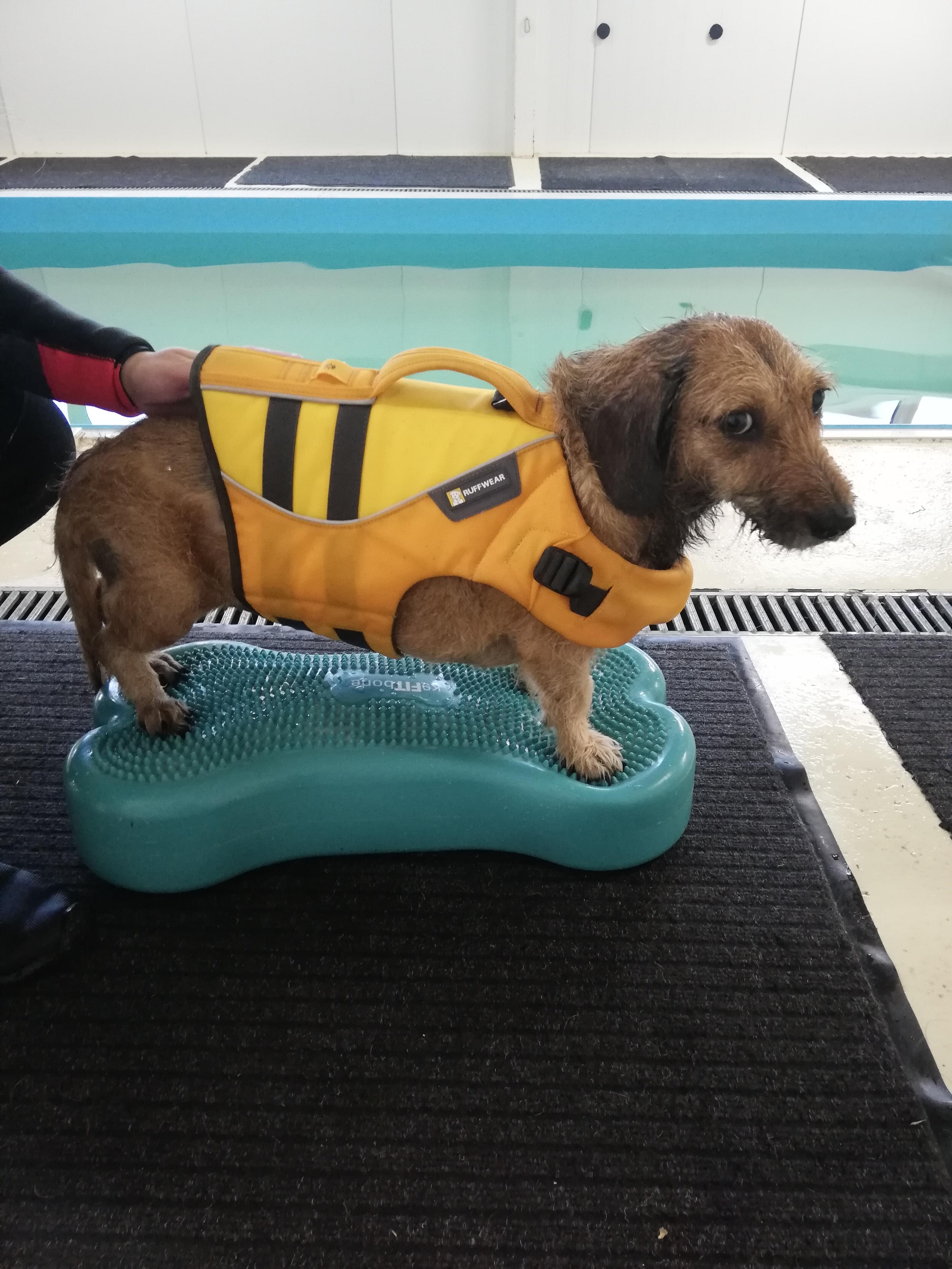 Reabilitacija: po operacijos mažylė išbandė net hidroterapiją. 