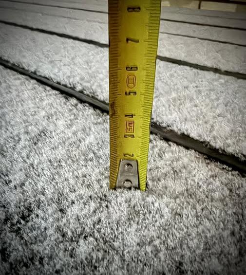 Kauno rajonas, Radikiai