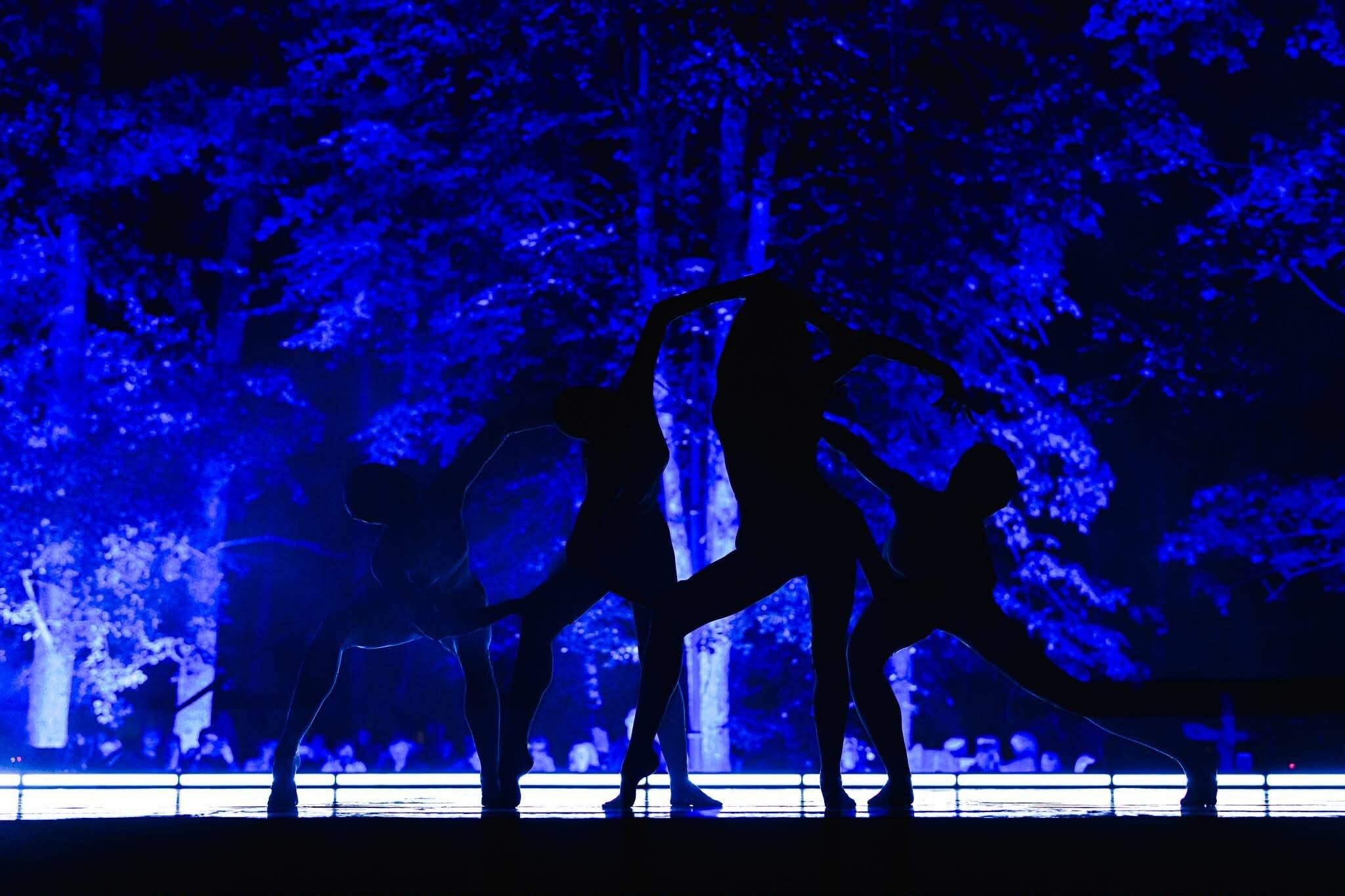 Darios Verovkos ir Jono Raudoniaus „Vidujinis žvilgsnis“