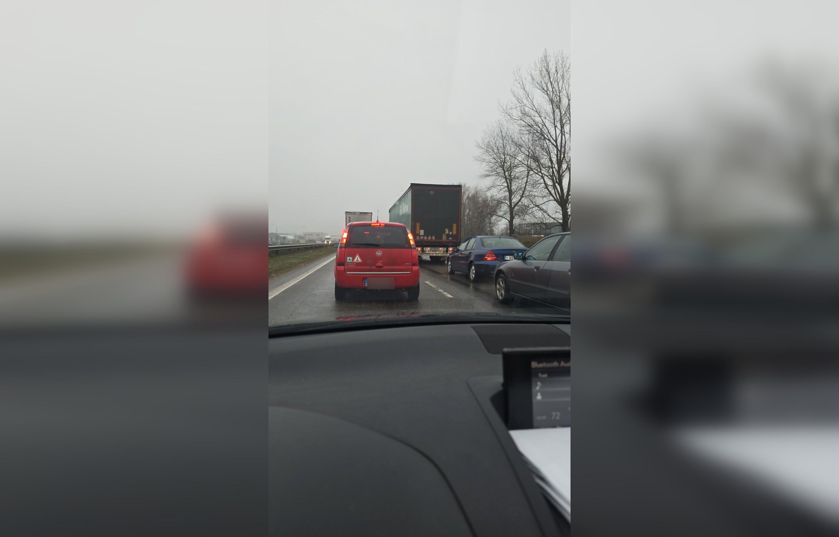 Jakų žiedas nuo Palangos