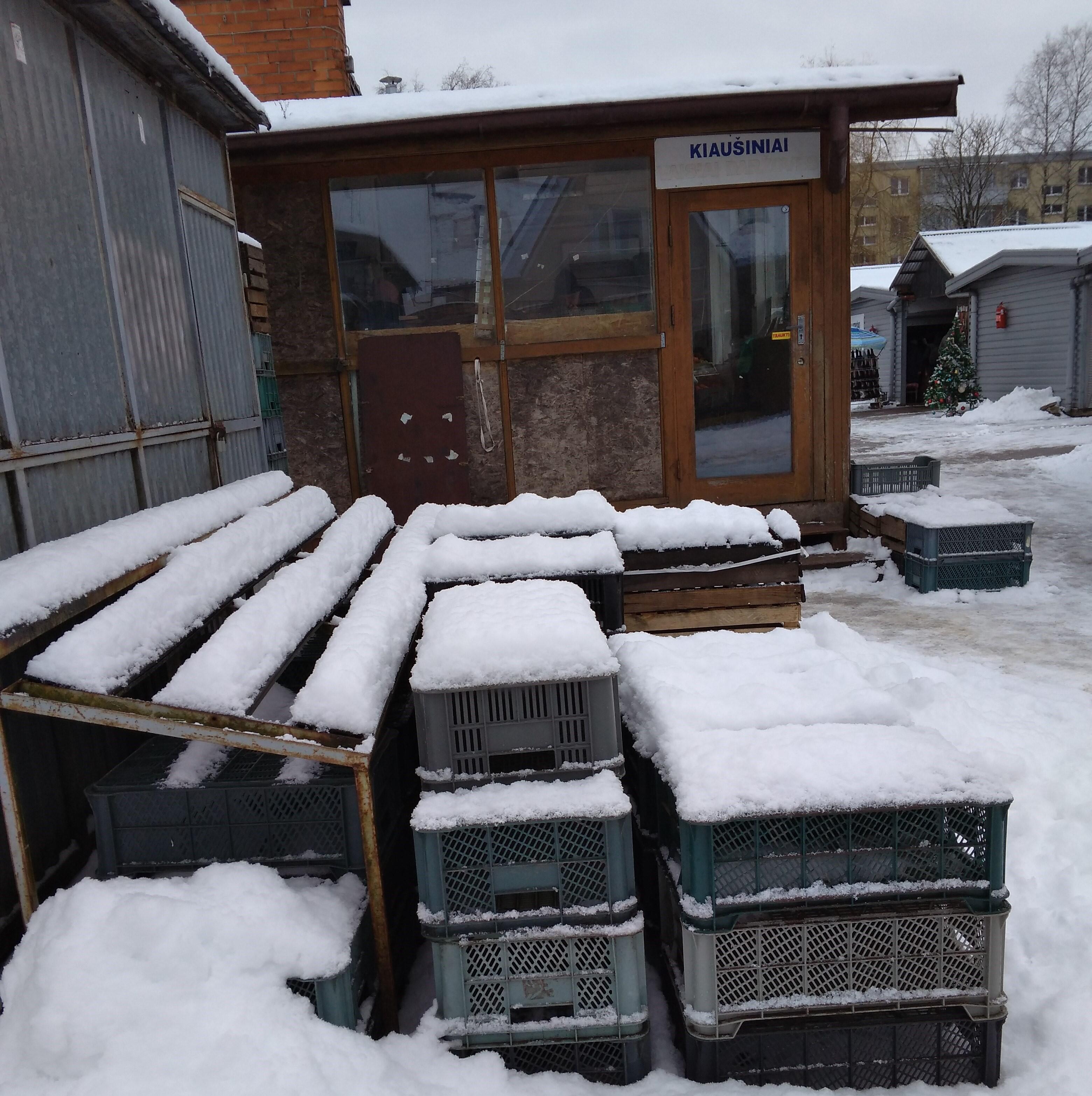 Vaisiais ir daržovėmis kol kas prekiauja tik vienas kioskas