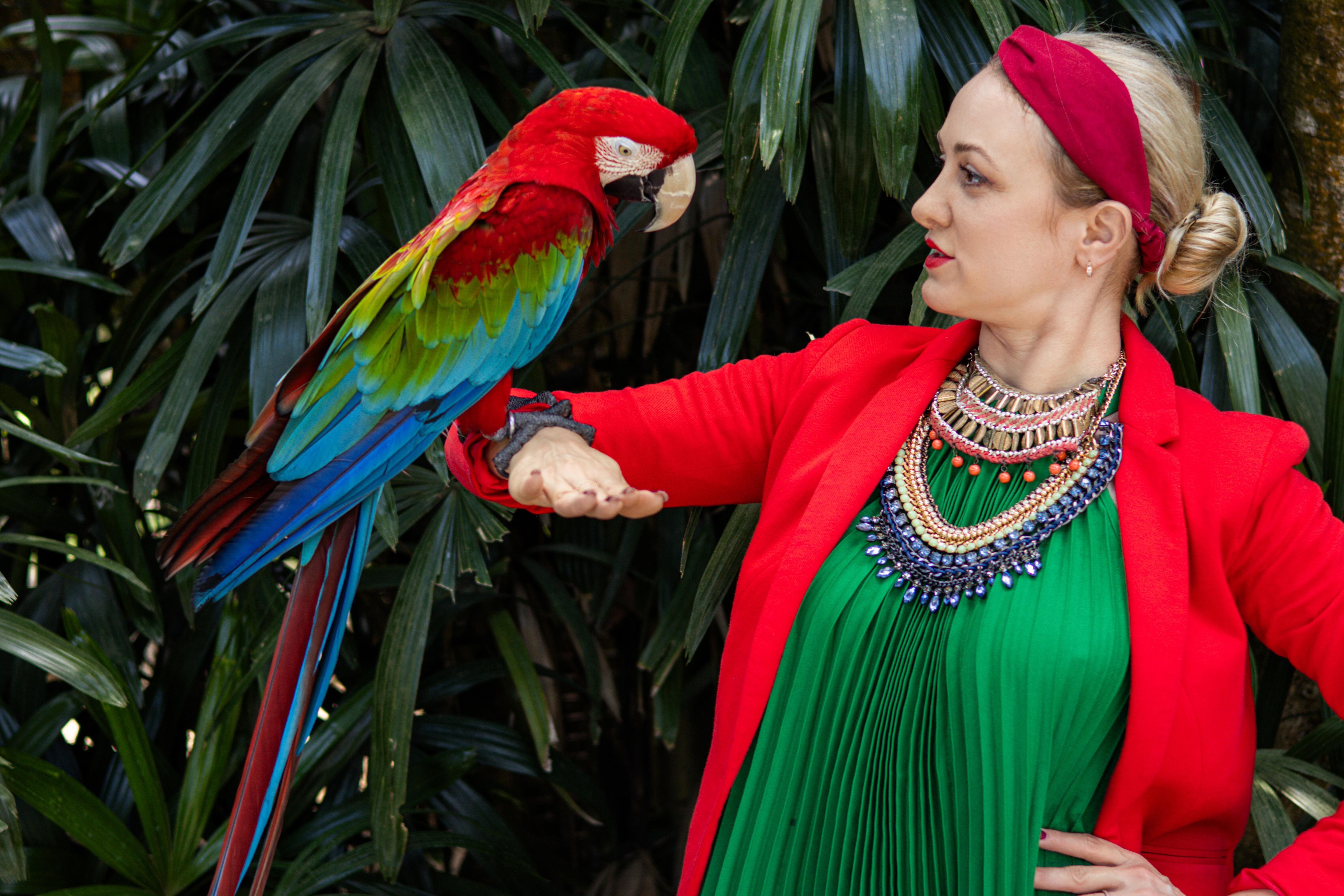 Pasirengimas: vykdami į Balį Ainas ir Eglė atliko namų darbus – ne tik pasižymėjo vietas, kurios tiktų fotosesijoms, bet ir parinko joms tinkančią aprangą. Papūgų arų spalvas pabrėžiančius kostiumus jie atsivežė iš Lietuvos. 