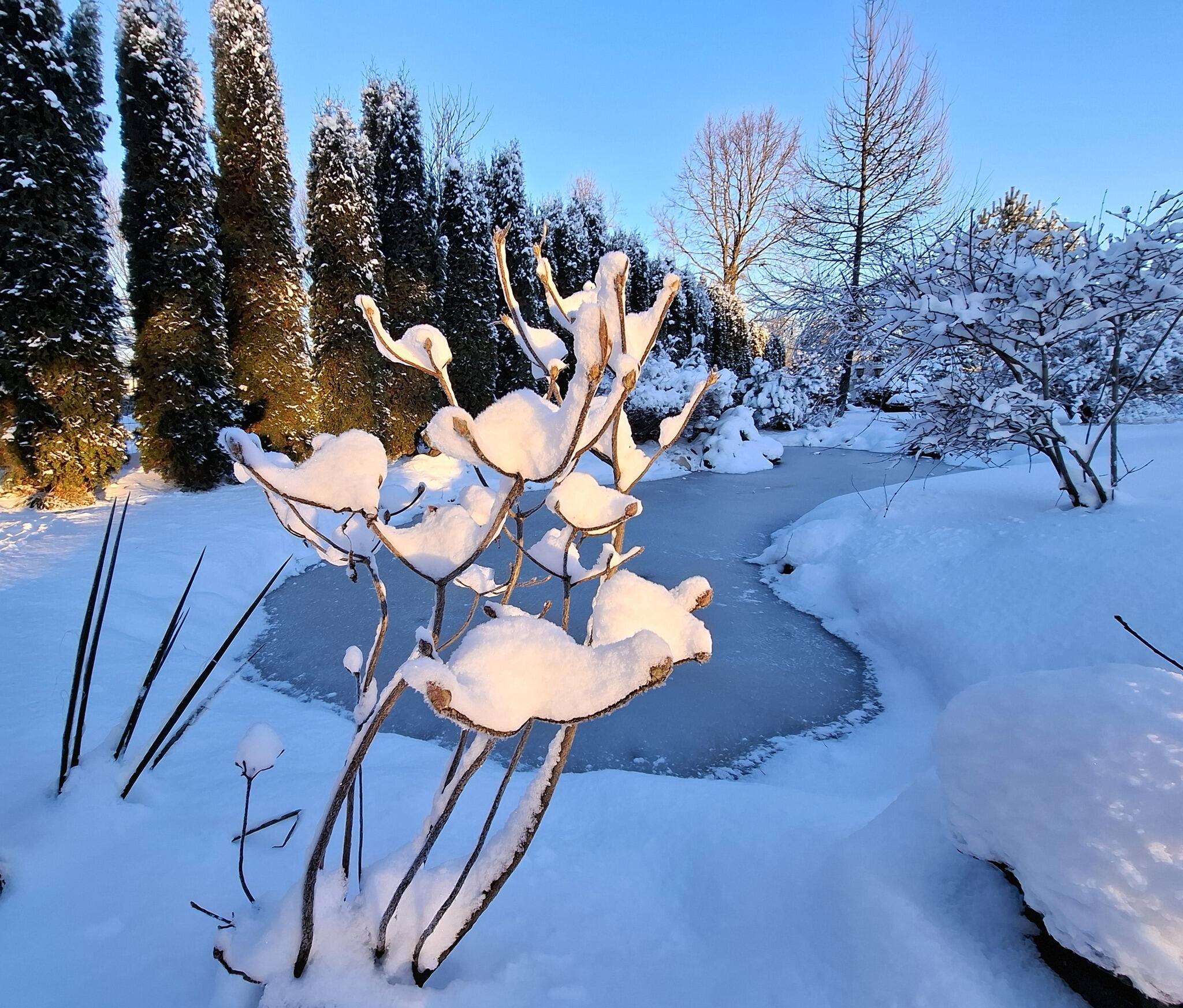 Žiema Skuodo rajone.