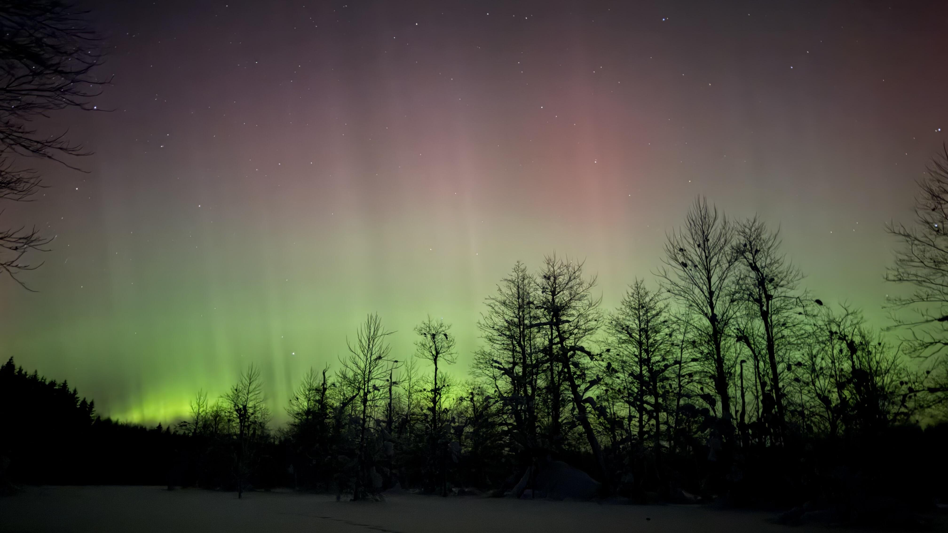 Šiaurės pašvaistė