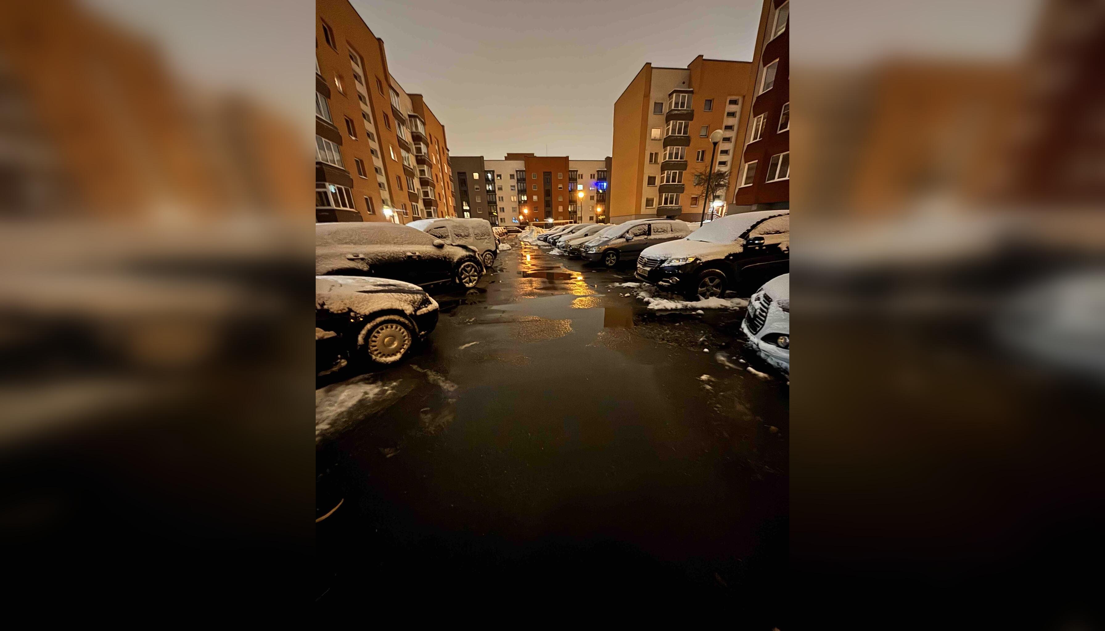 Rezultatas: klaipėdiečių grupelė kiemą išvalė visiškai, jo beveik nematyti.