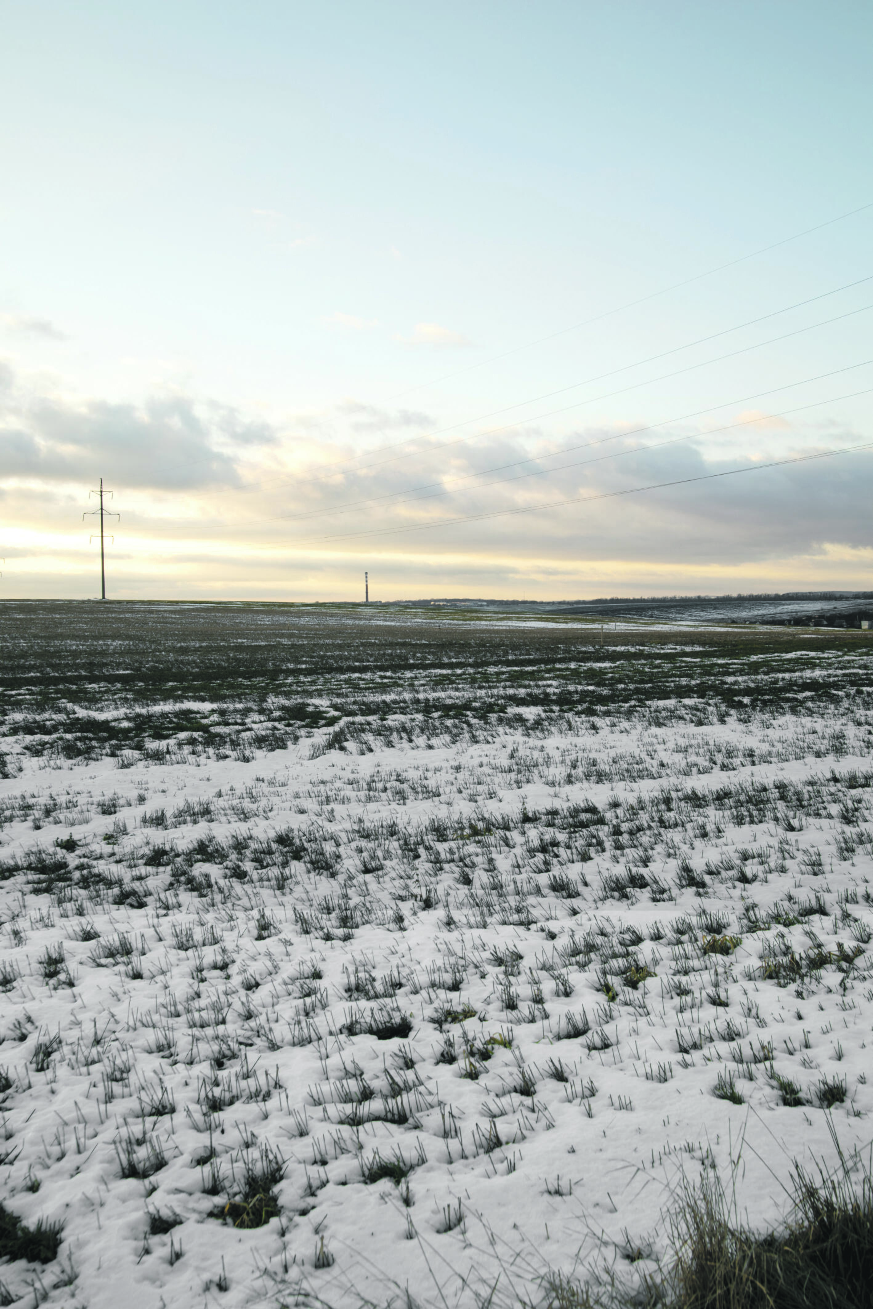 Tendencija: kuo didesni pasėlių plotai deklaruojami, tuo didesnę paramą gauni. Taip ūkiai stambėja.
