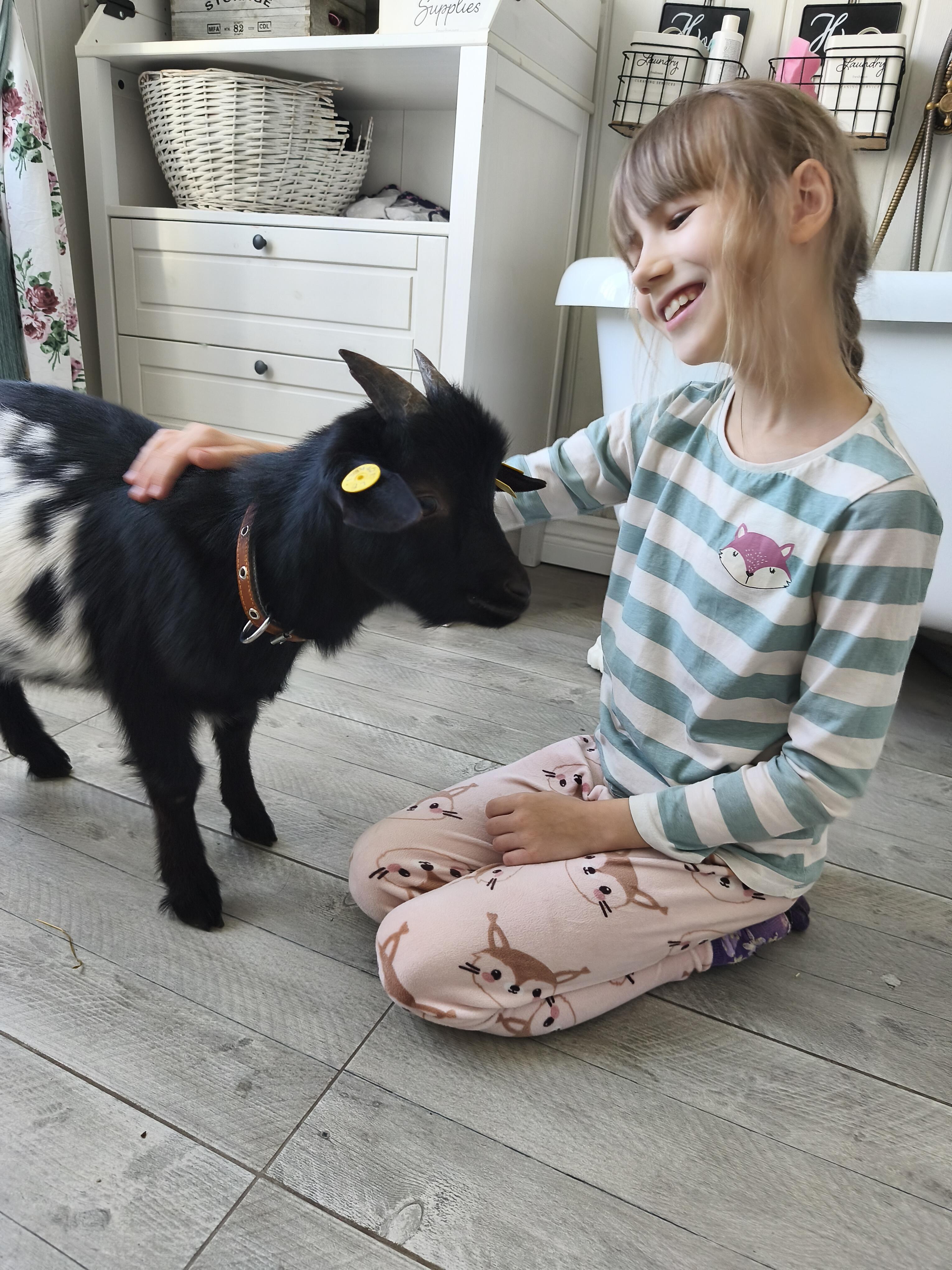 Globa: Elena labai mėgsta prižiūrėti namų ožiukus: juos glosto, maitina, girdo, o vakarais netgi jiems skaito pasakas.