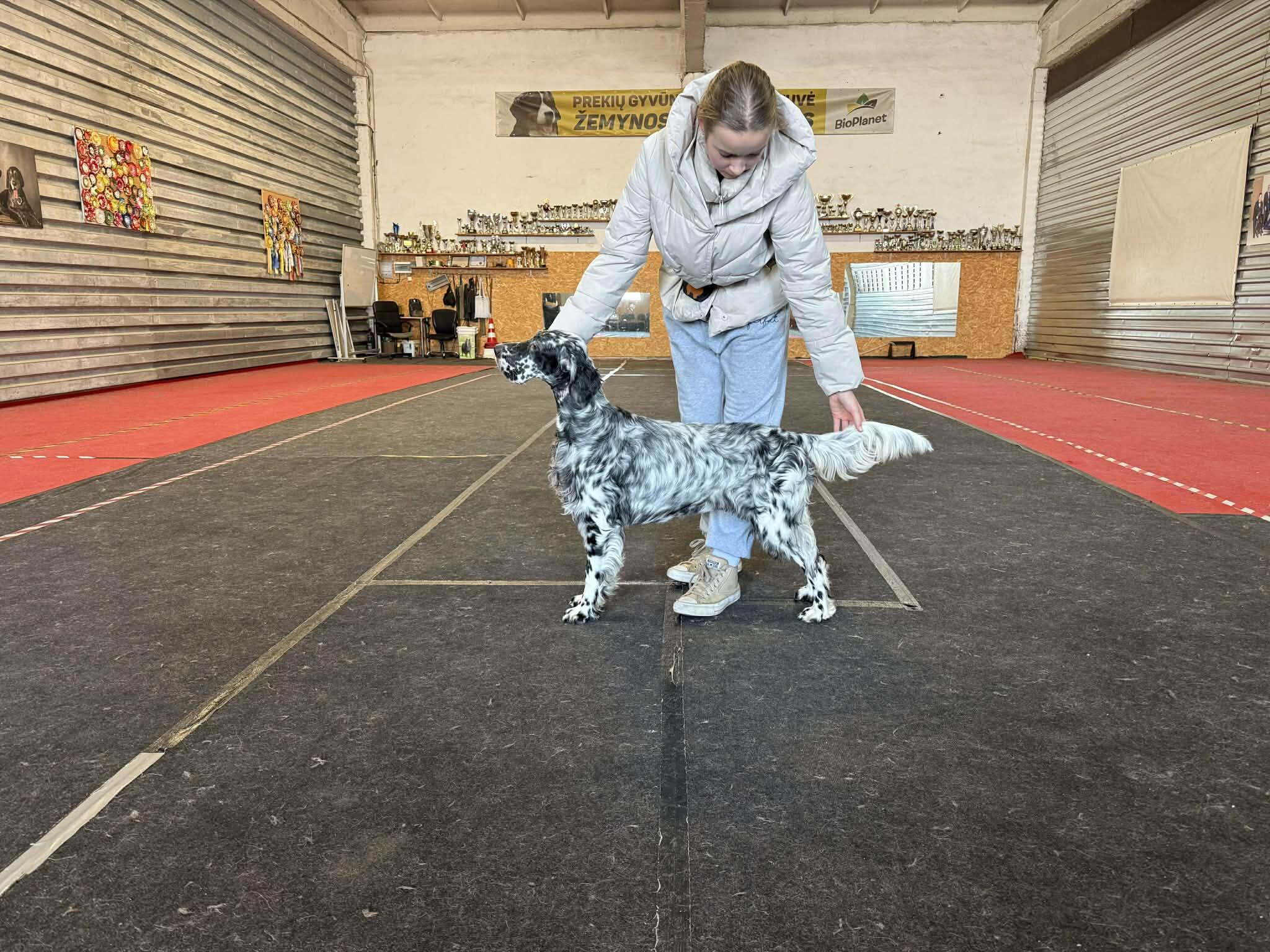 Disciplina: po pamokų mergaitė skuba ne prie kompiuterio ar televizoriaus, o į treniruotes su šunimis. 