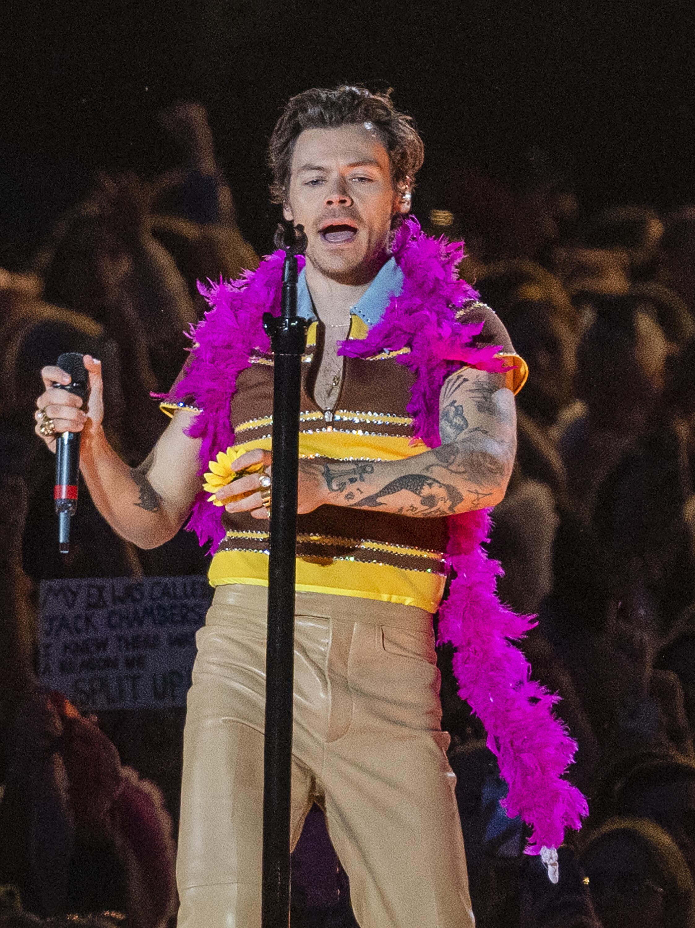 Harry Styles